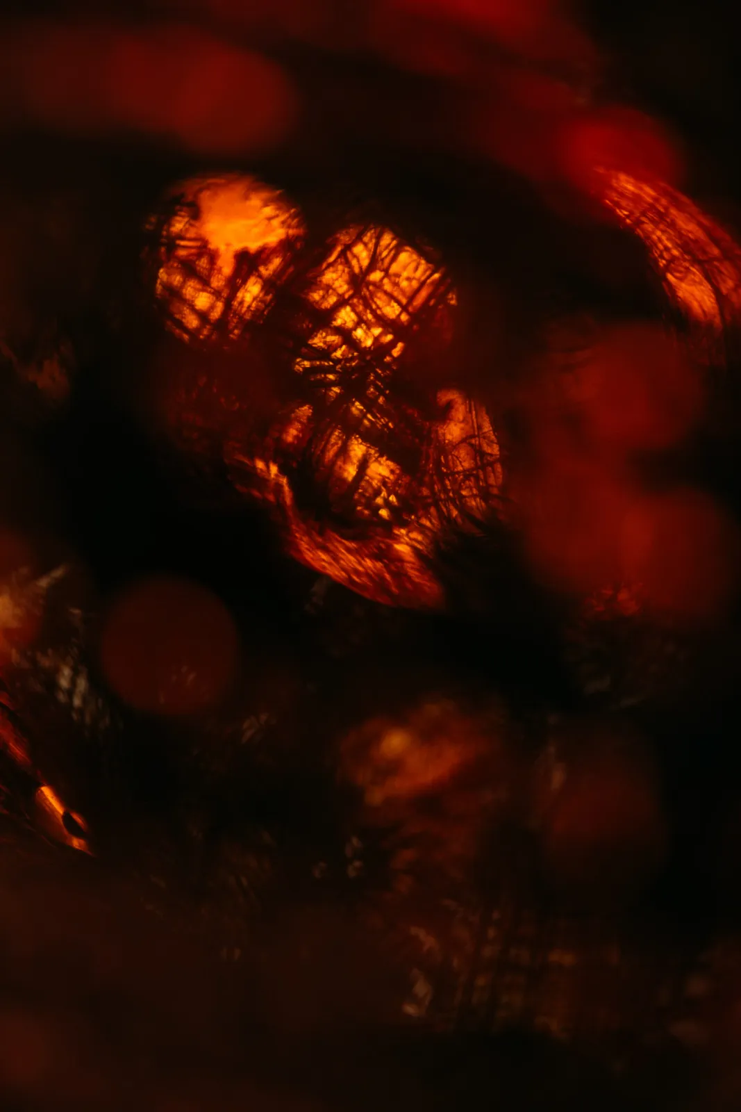 Ori Orisun Merhav, Desert Insect, Sunset Lamp II, 2026