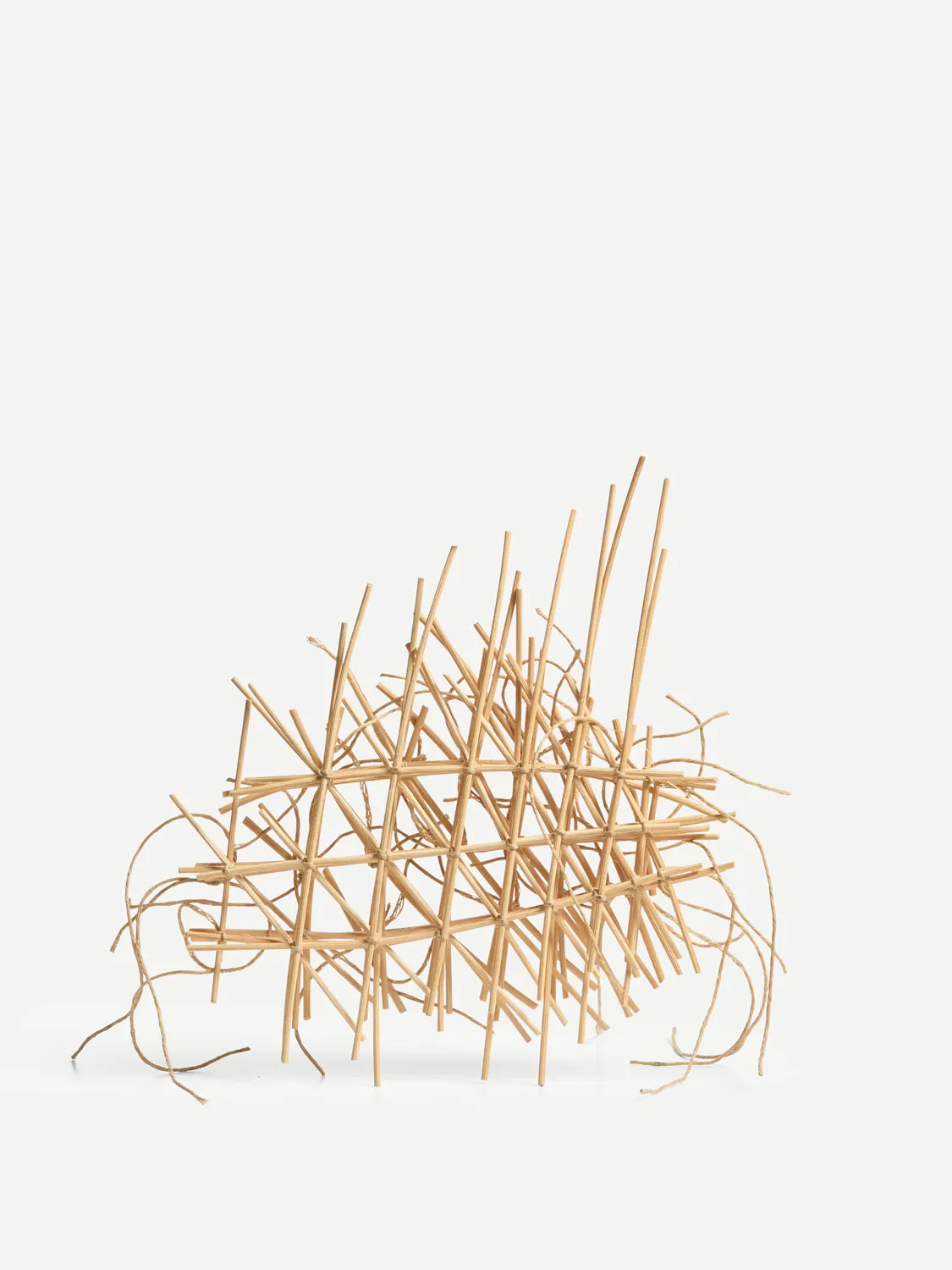 Ann Coddington, Constellation, Set II, 2025