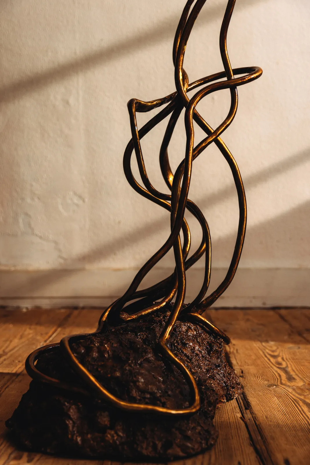 Ori Orisun Merhav, Desert Insect, Sunrise Light I, 2026