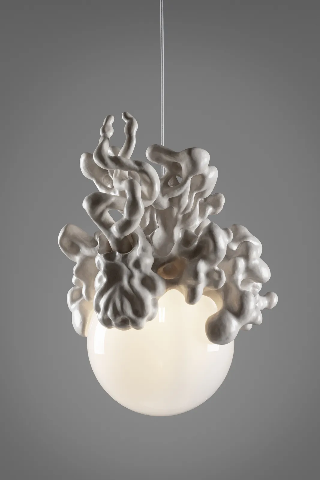 Tadeáš Podracký, The Bloom of Bones Light in White, 2024