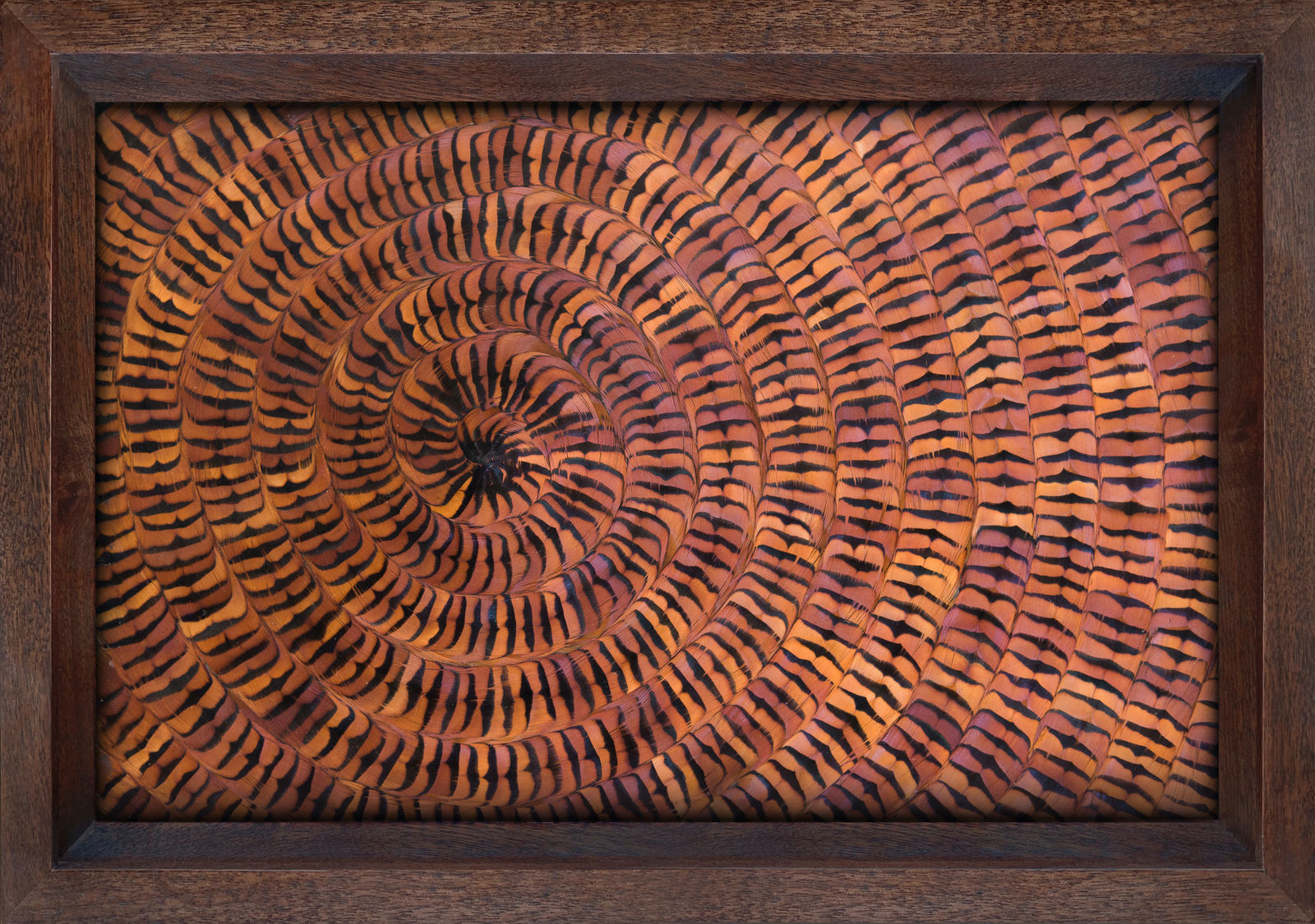 Kate MccGwire, WHORL II, 2021