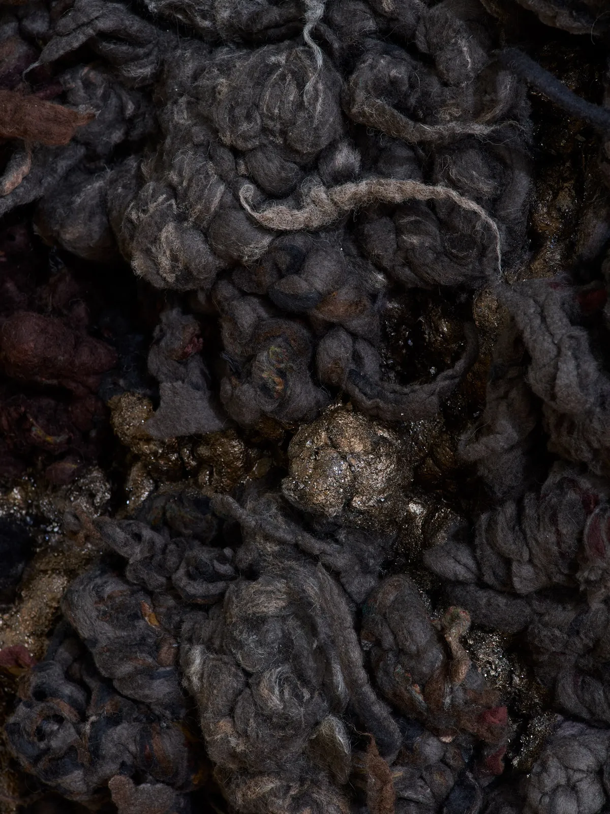 Dana Barnes, FLUX (Held in Motion), 2026