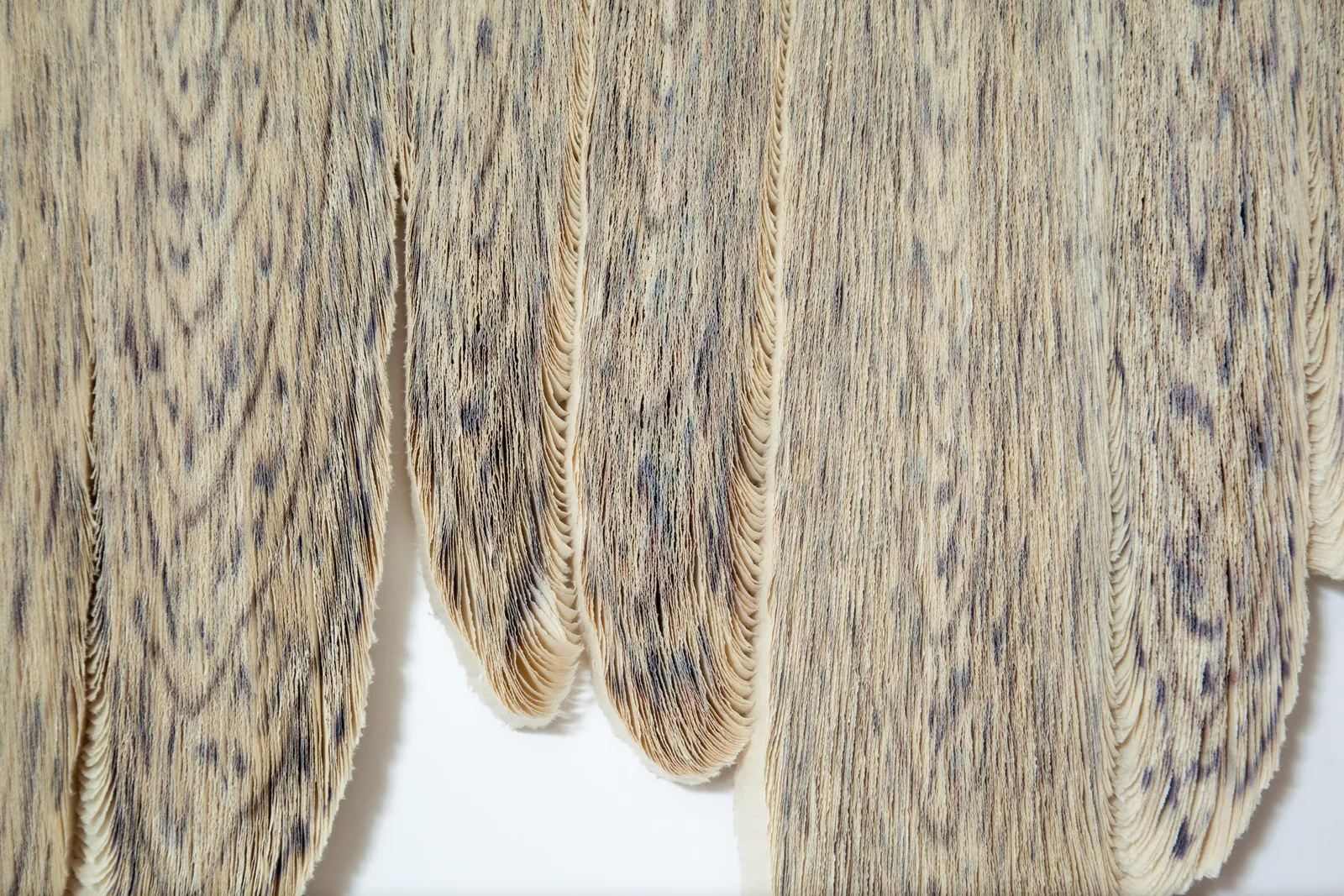 Alida Kuzemczak-Sayer, Wet Volume, 2026