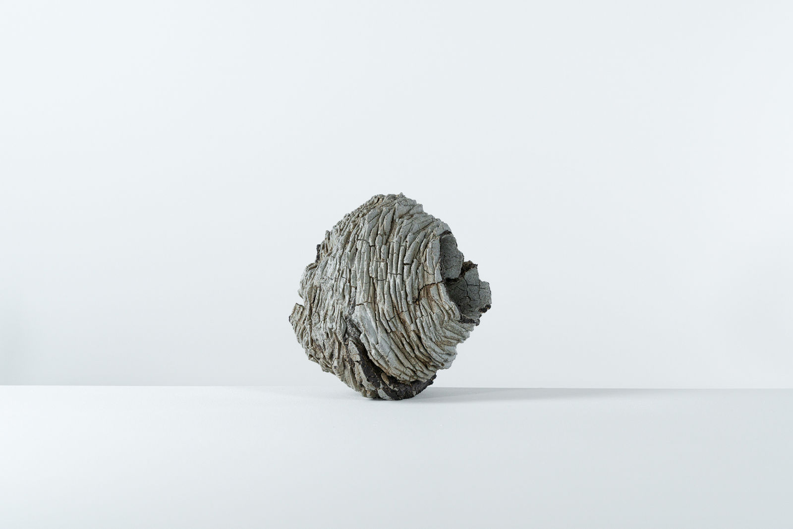 Luke Fuller, Untitled, 2025