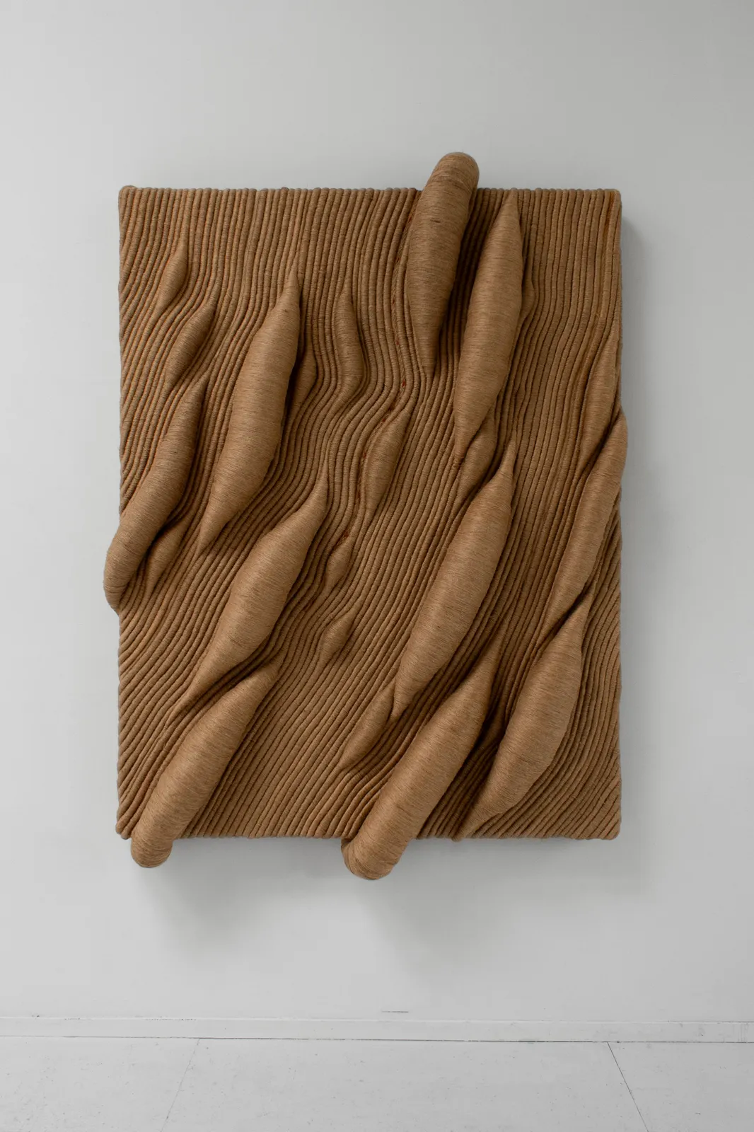 Joana Schneider, De Dennen, 2026