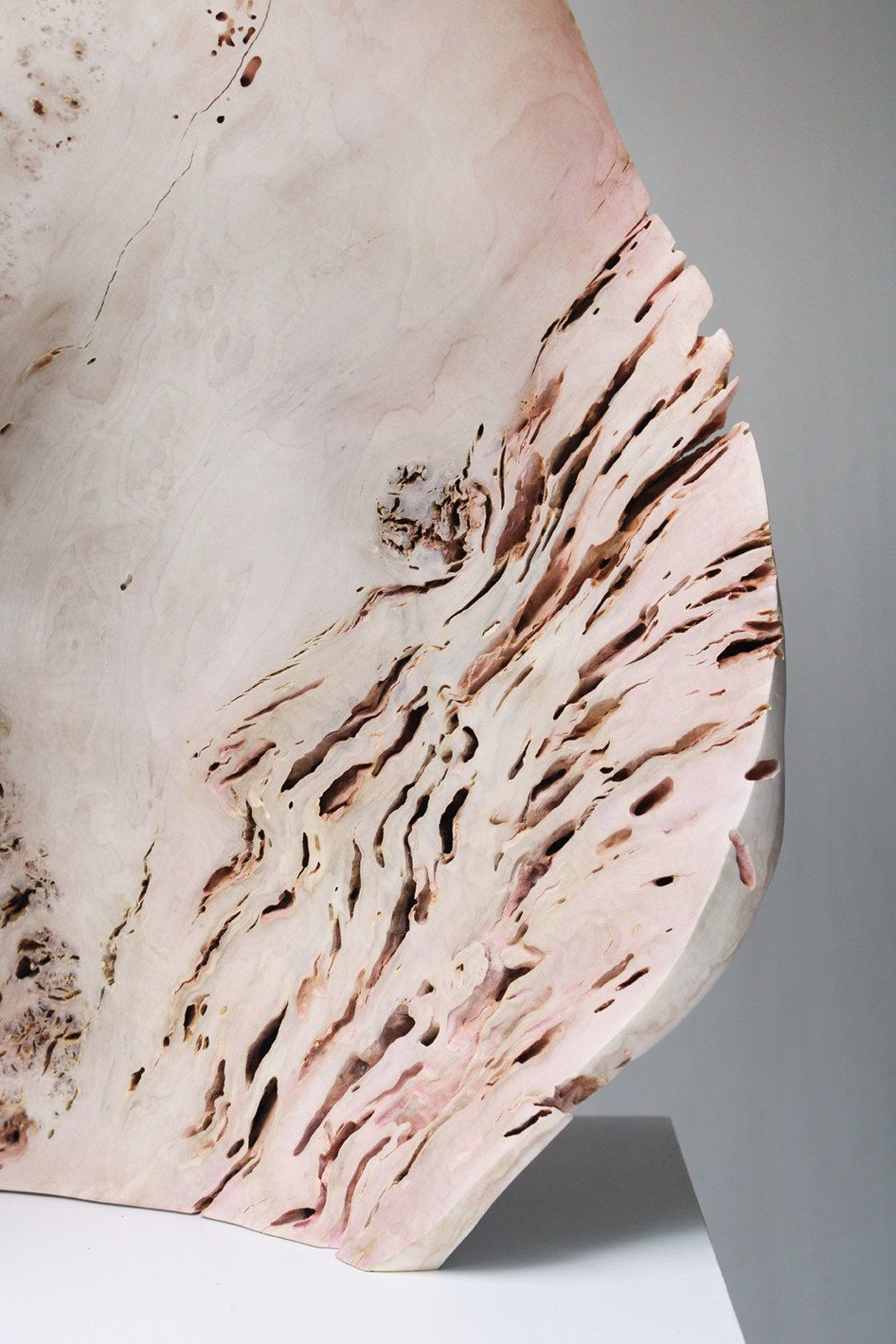 Julian Watts, Shell, 2022