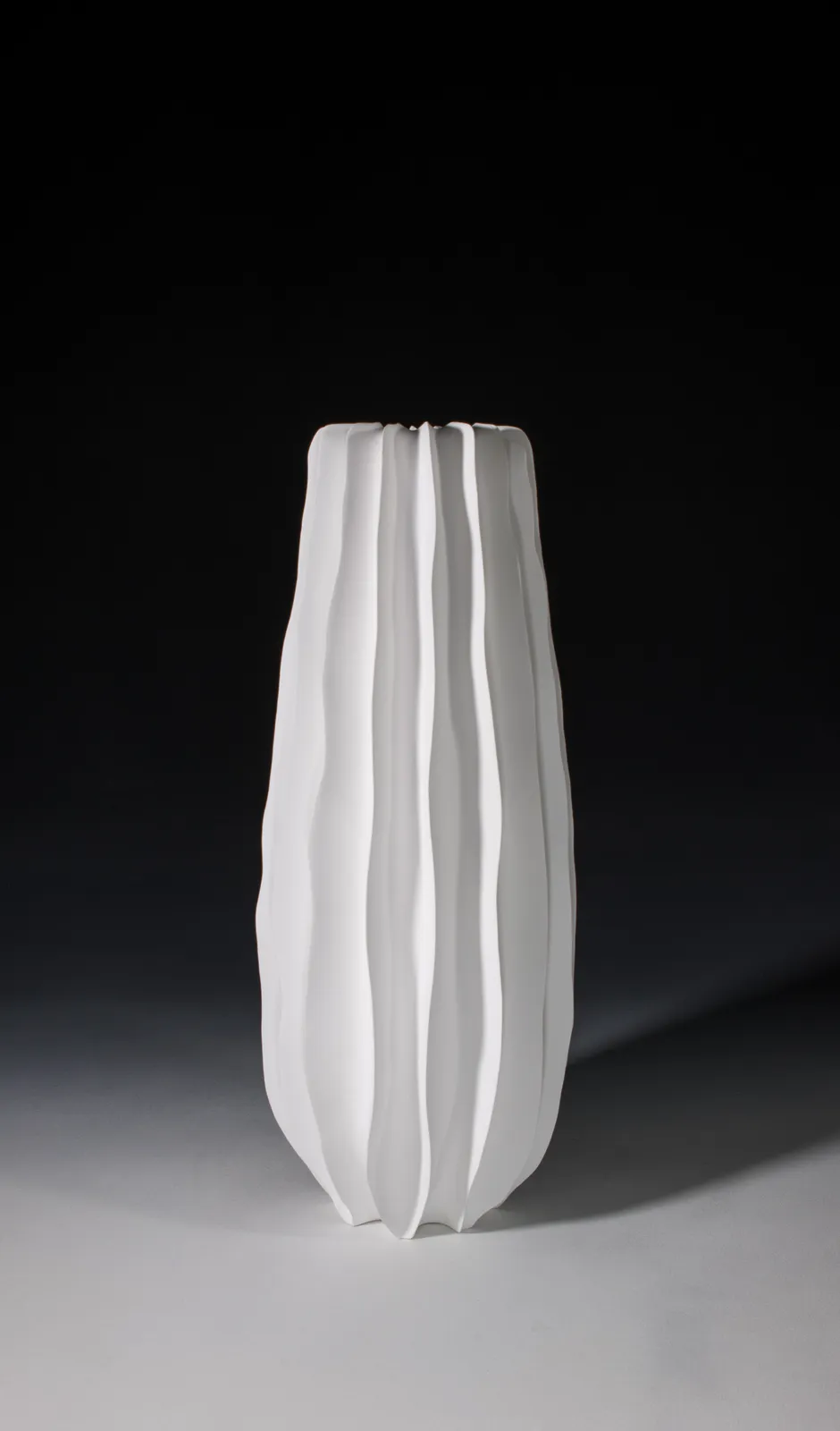 Marc Ricourt, Beech #03, 2024