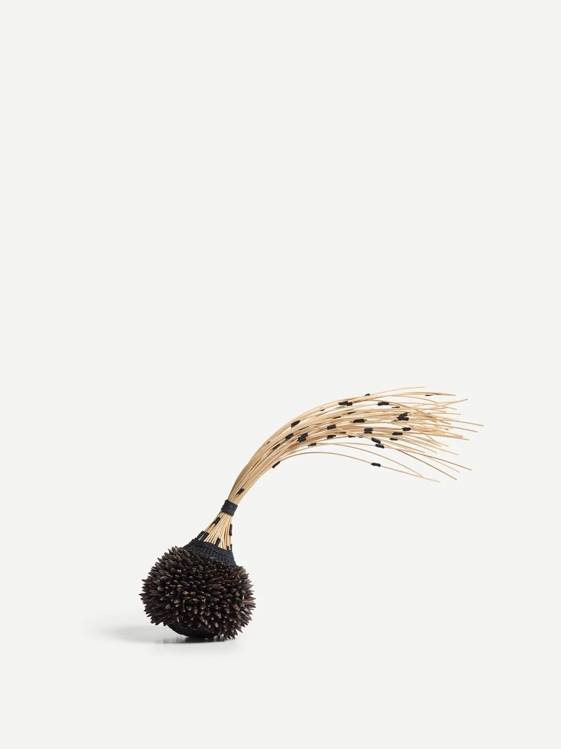 Lucy Williams, Sunflower Stars, 2026