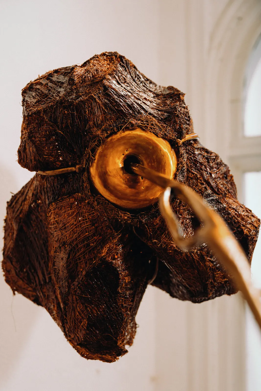 Ori Orisun Merhav, Desert Insect, Sunrise Light I, 2026