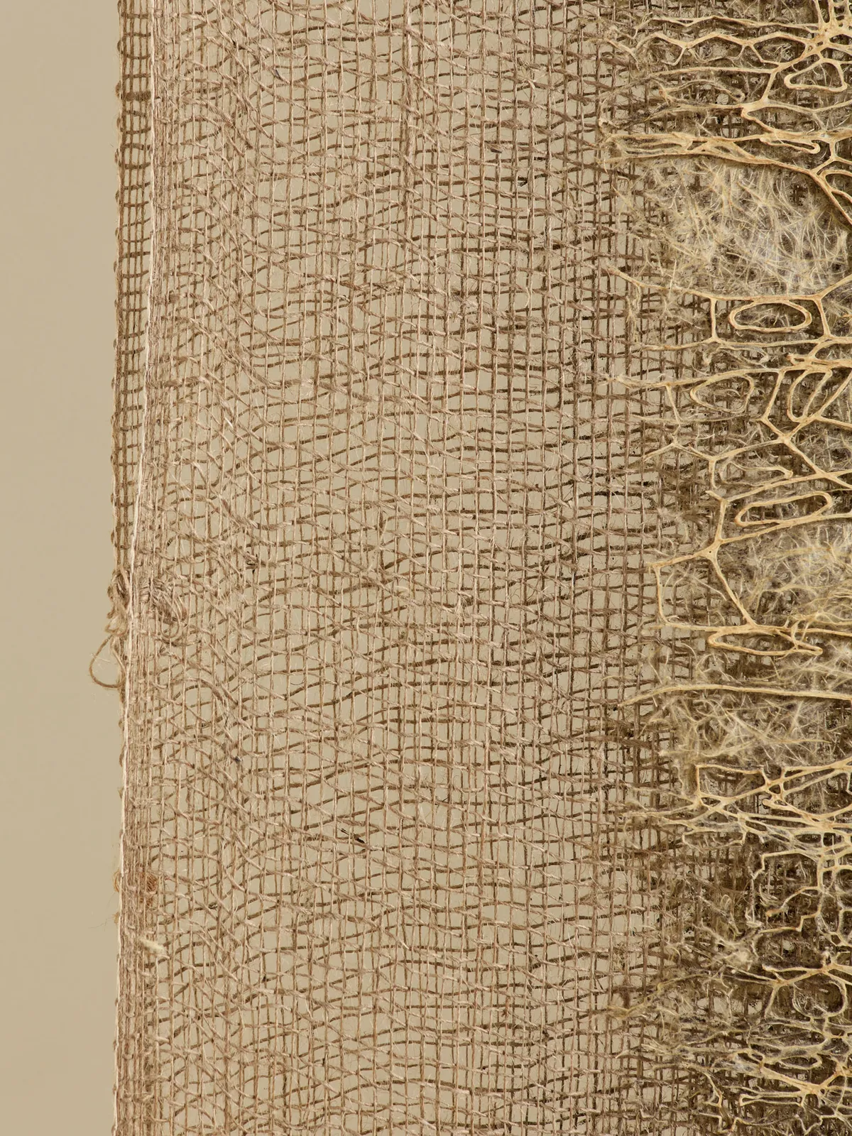 Diana Scherer, Apical #6, 2025