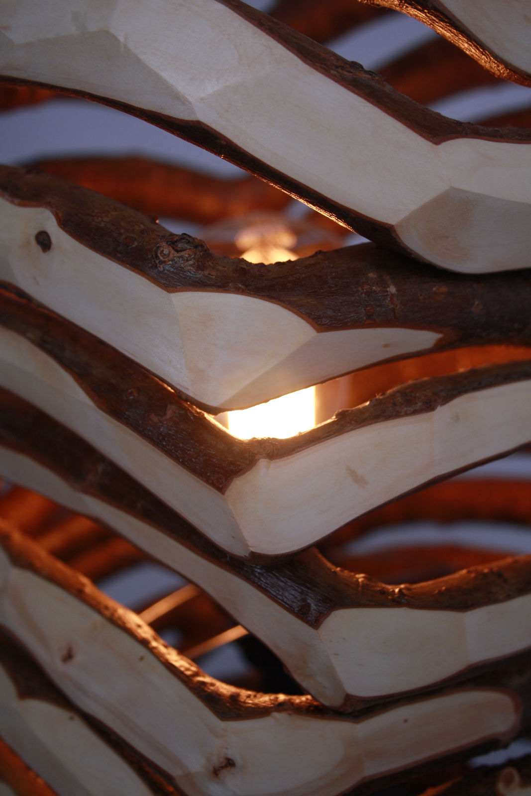 Full Grown, Lumsdale table lamp, 2019