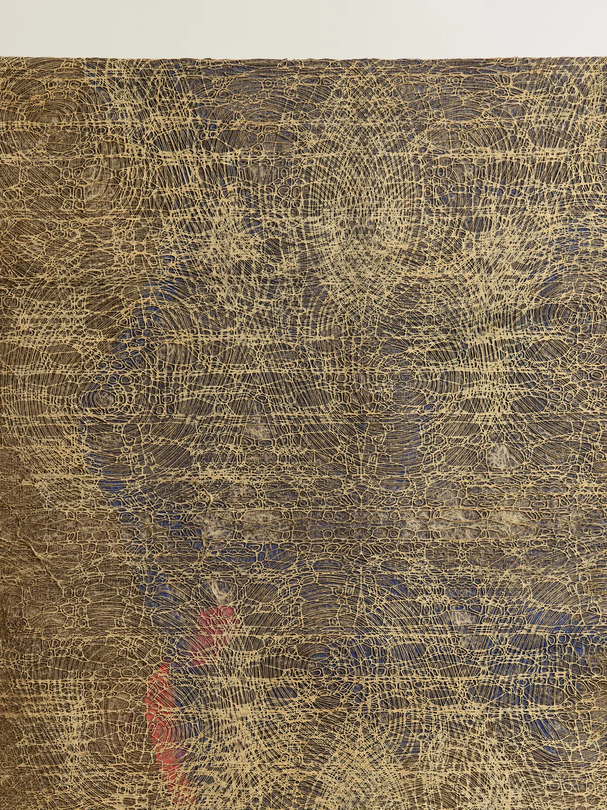 Diana Scherer, Apical #6, 2025