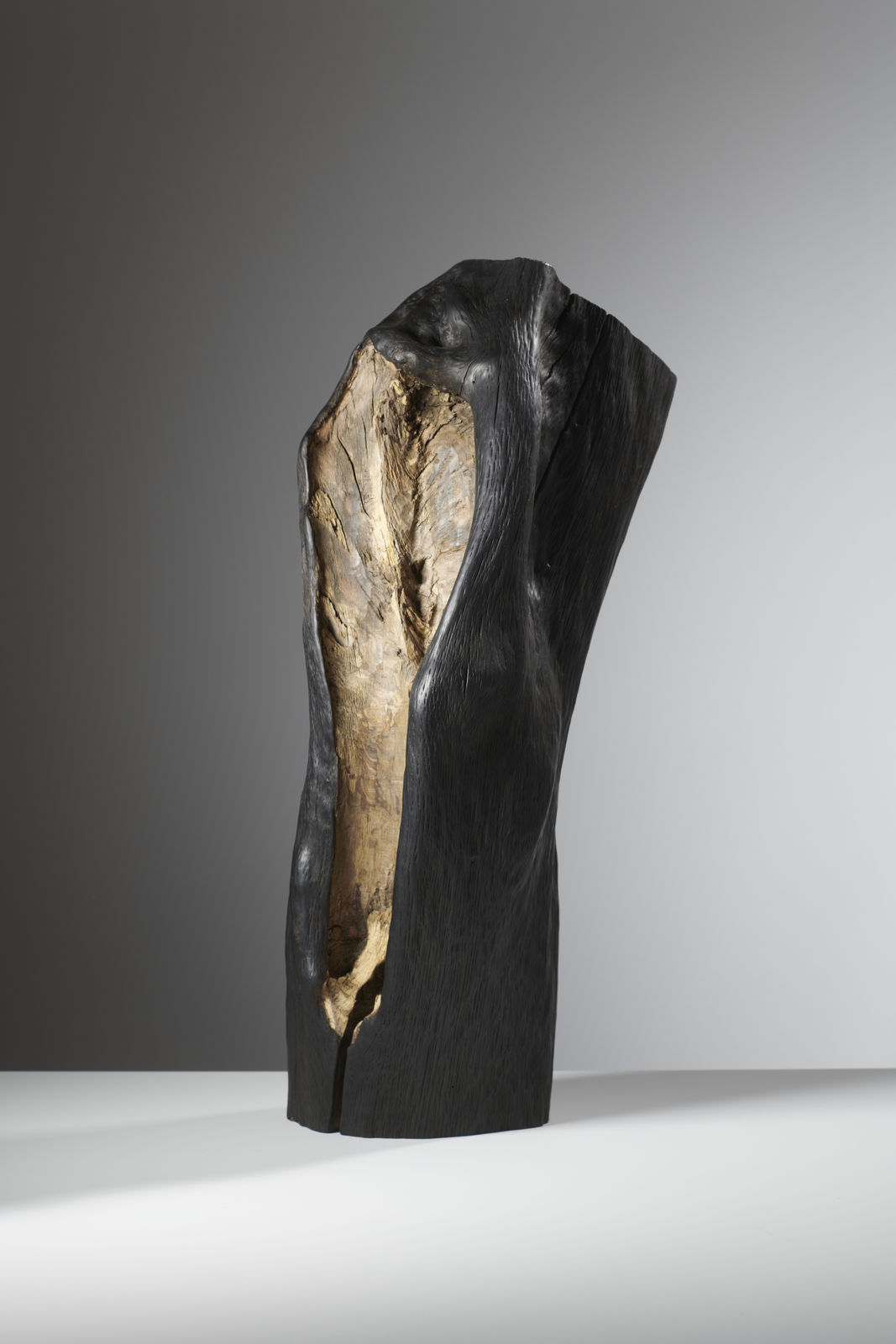 Wycliffe Stutchbury, West Dean 2, 2020