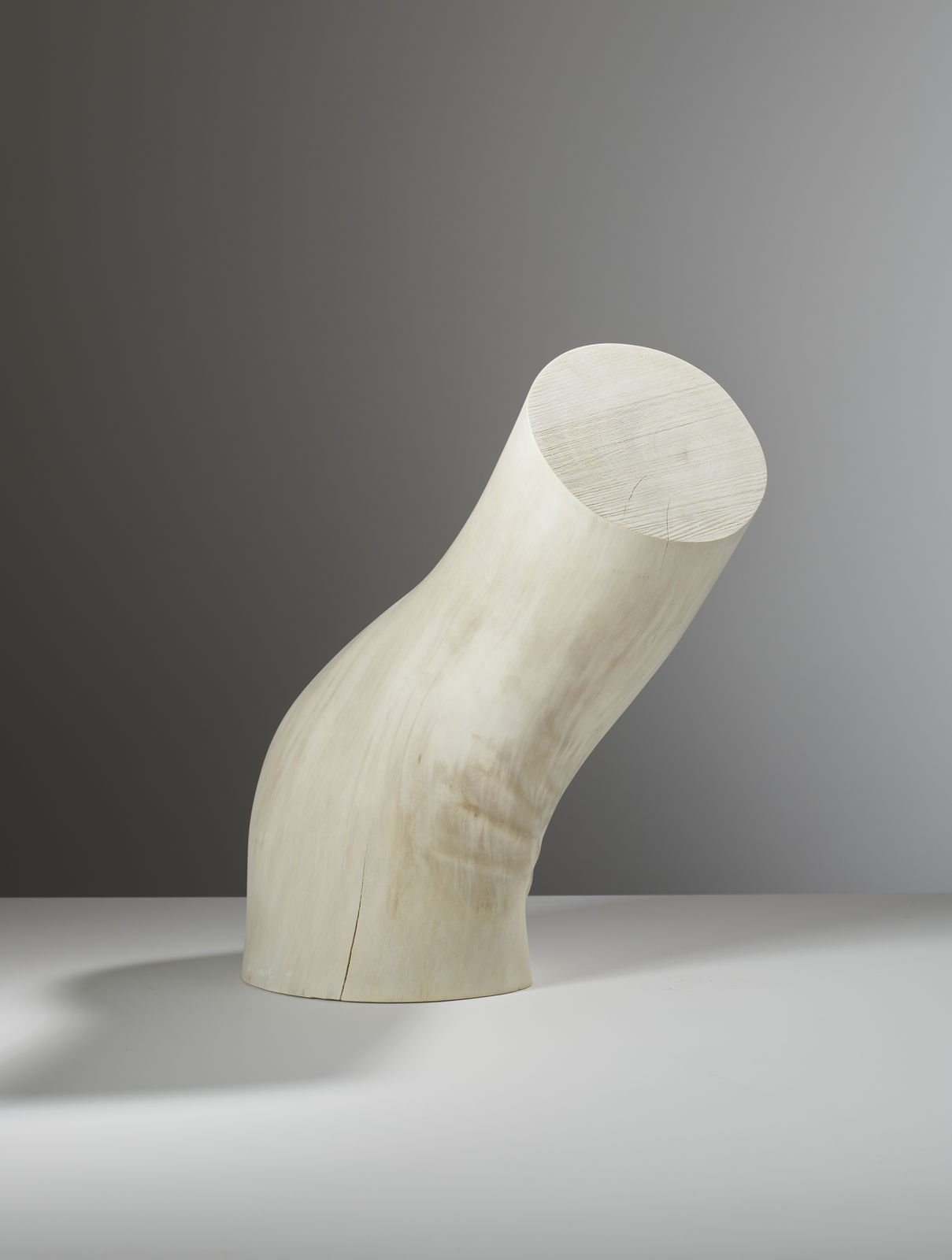 Wycliffe Stutchbury, Royal Hospital Chelsea, 2020