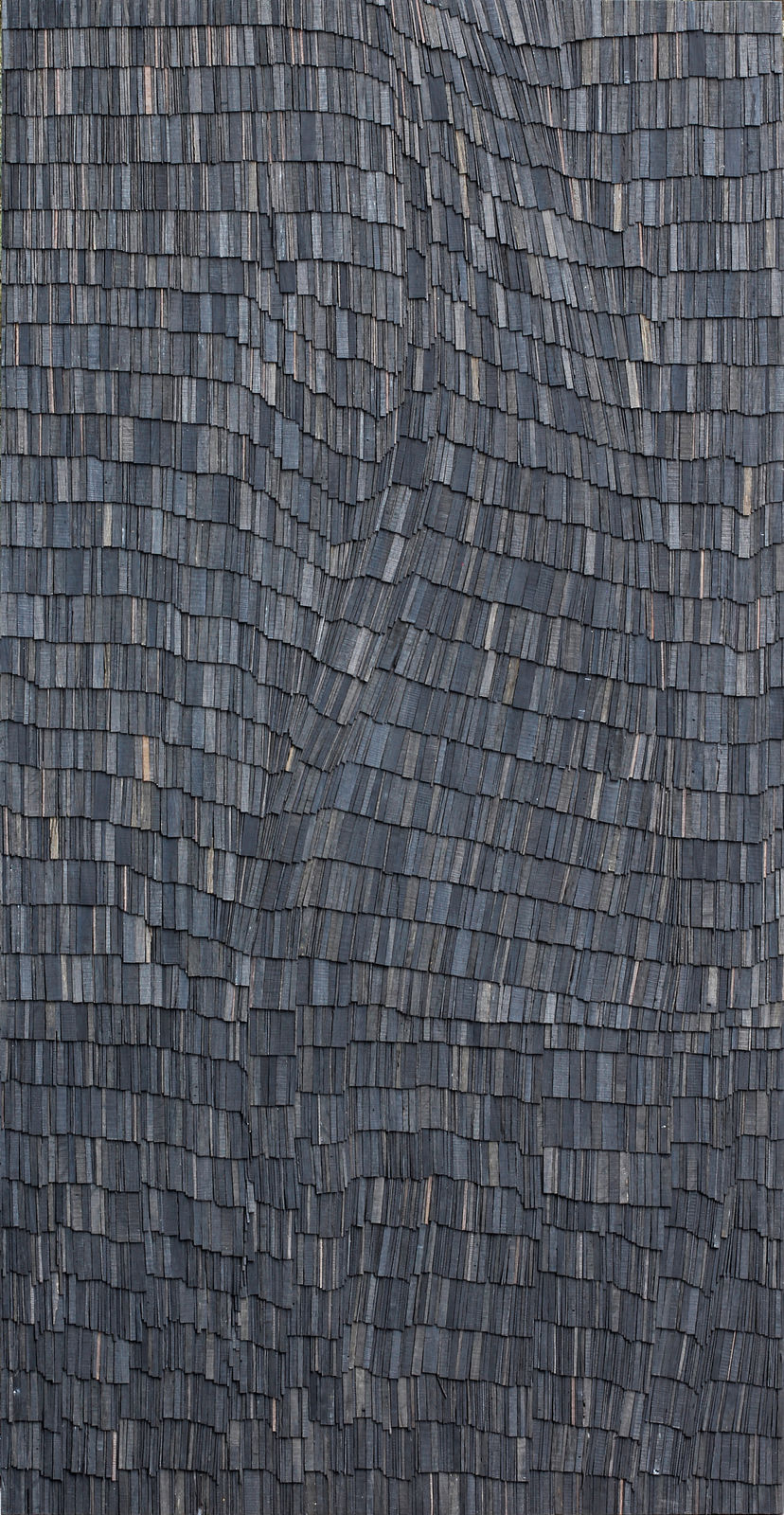 Wycliffe Stutchbury, Hundred Foot Drain 6, 2020