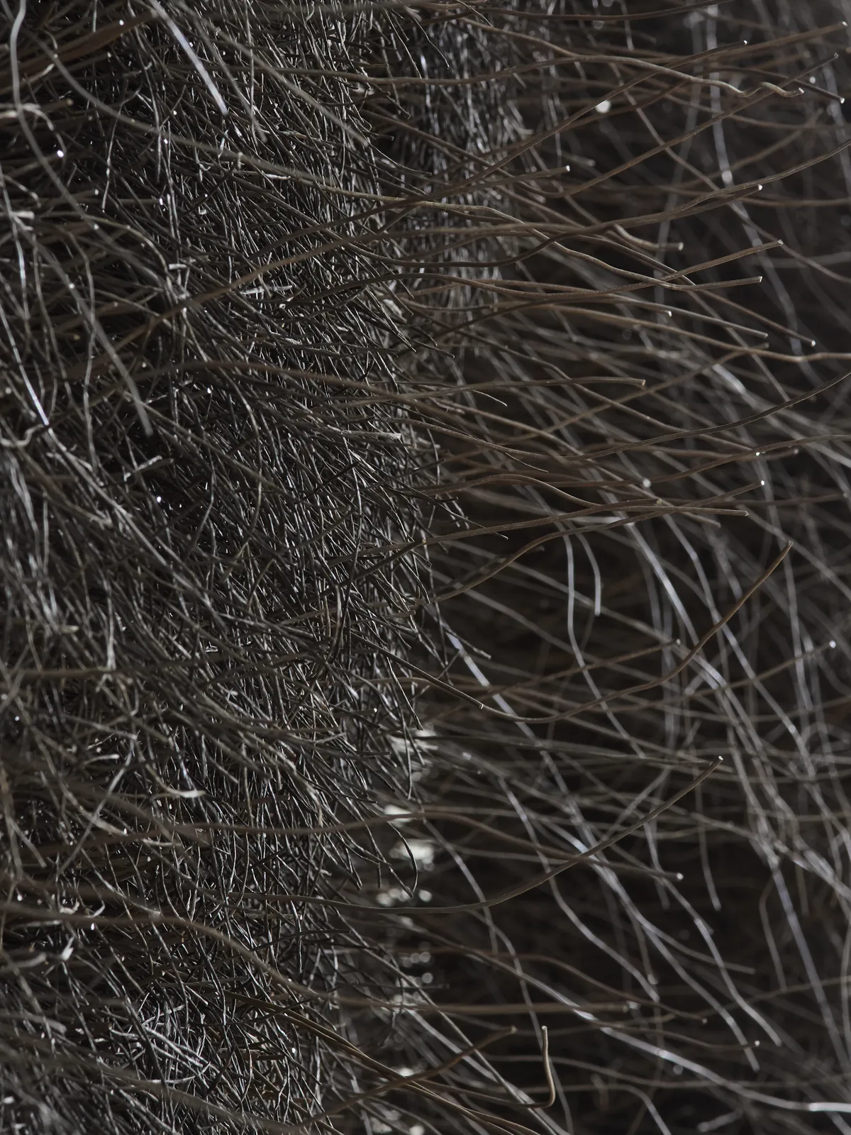 Teresa Hastings, Two Sides, 2025