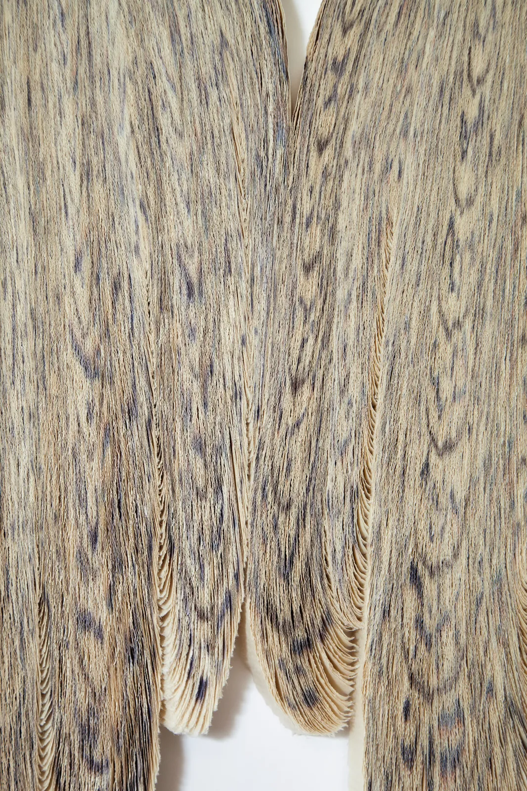 Alida Kuzemczak-Sayer, Wet Volume, 2026