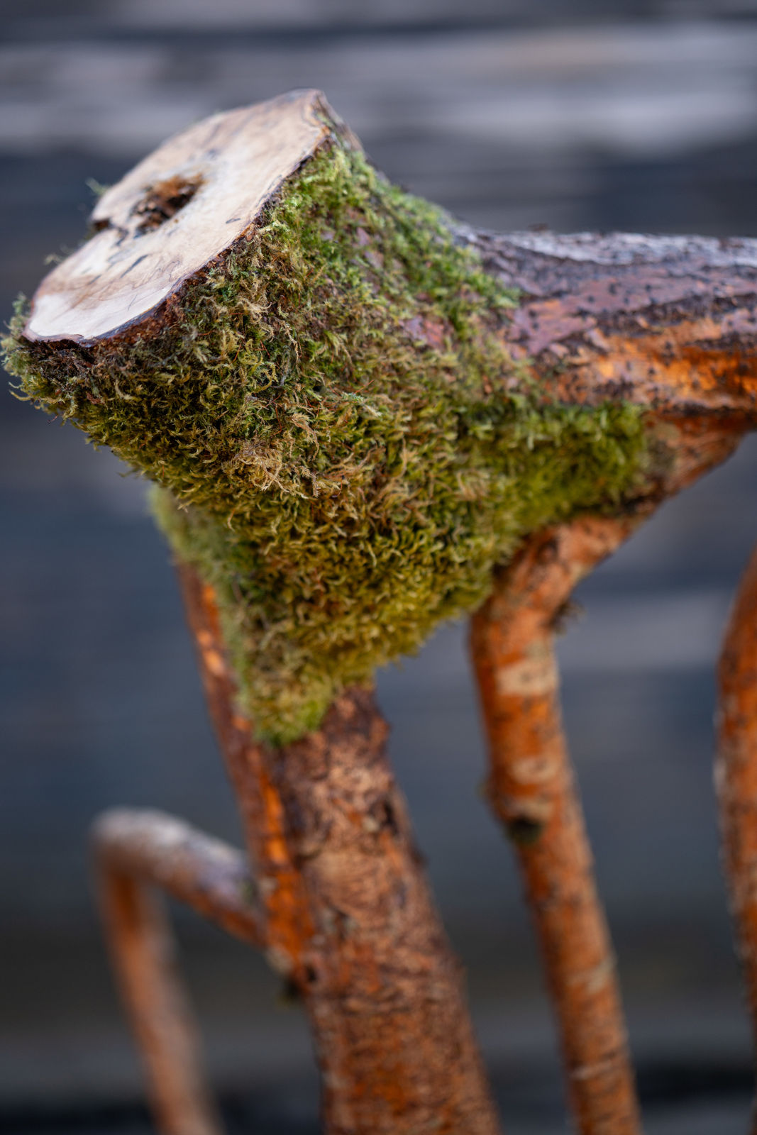 Full Grown, Are You Growing Comfortably? Notes from a Twelve-Year Dialogue, 2024