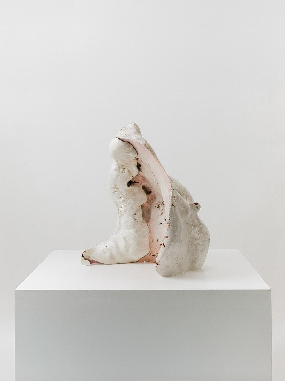 Julian Watts, Shell, 2022