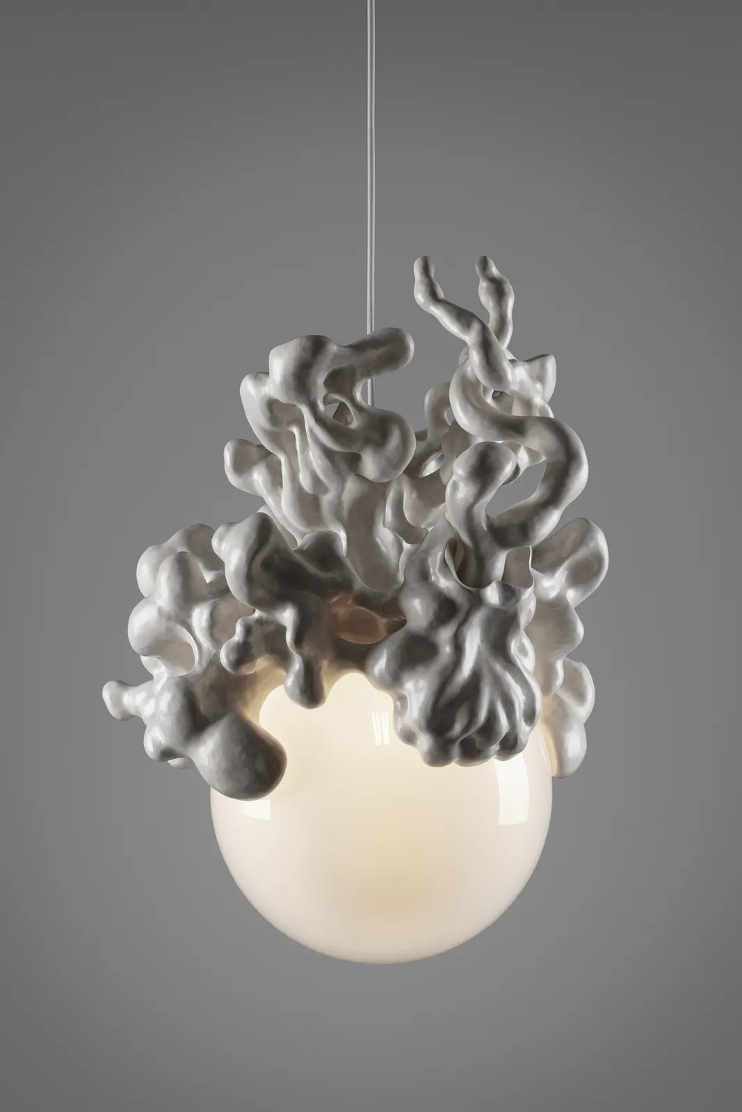 Tadeáš Podracký, The Bloom of Bones Light in White, 2024