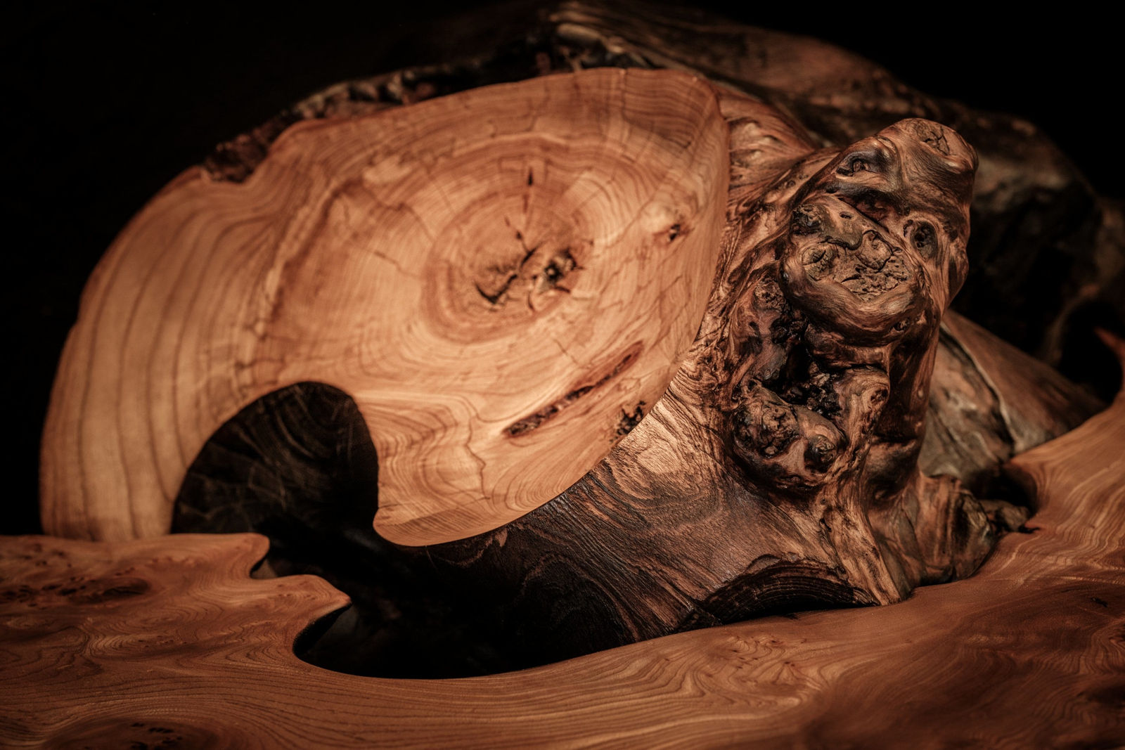 Nic Webb, Rikukai to Kumo (table), 2024