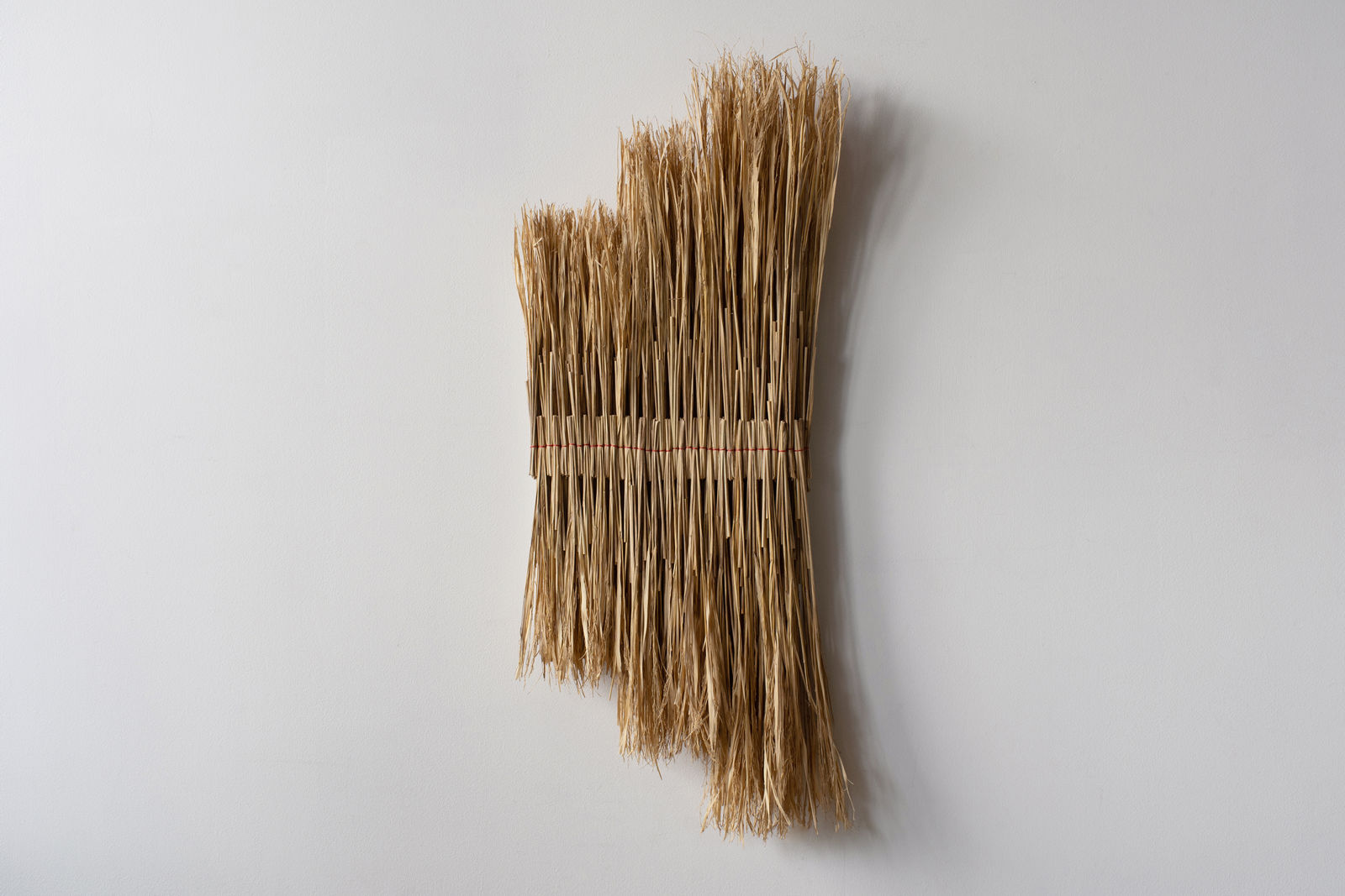 Arko, Composition Allargando, 2021