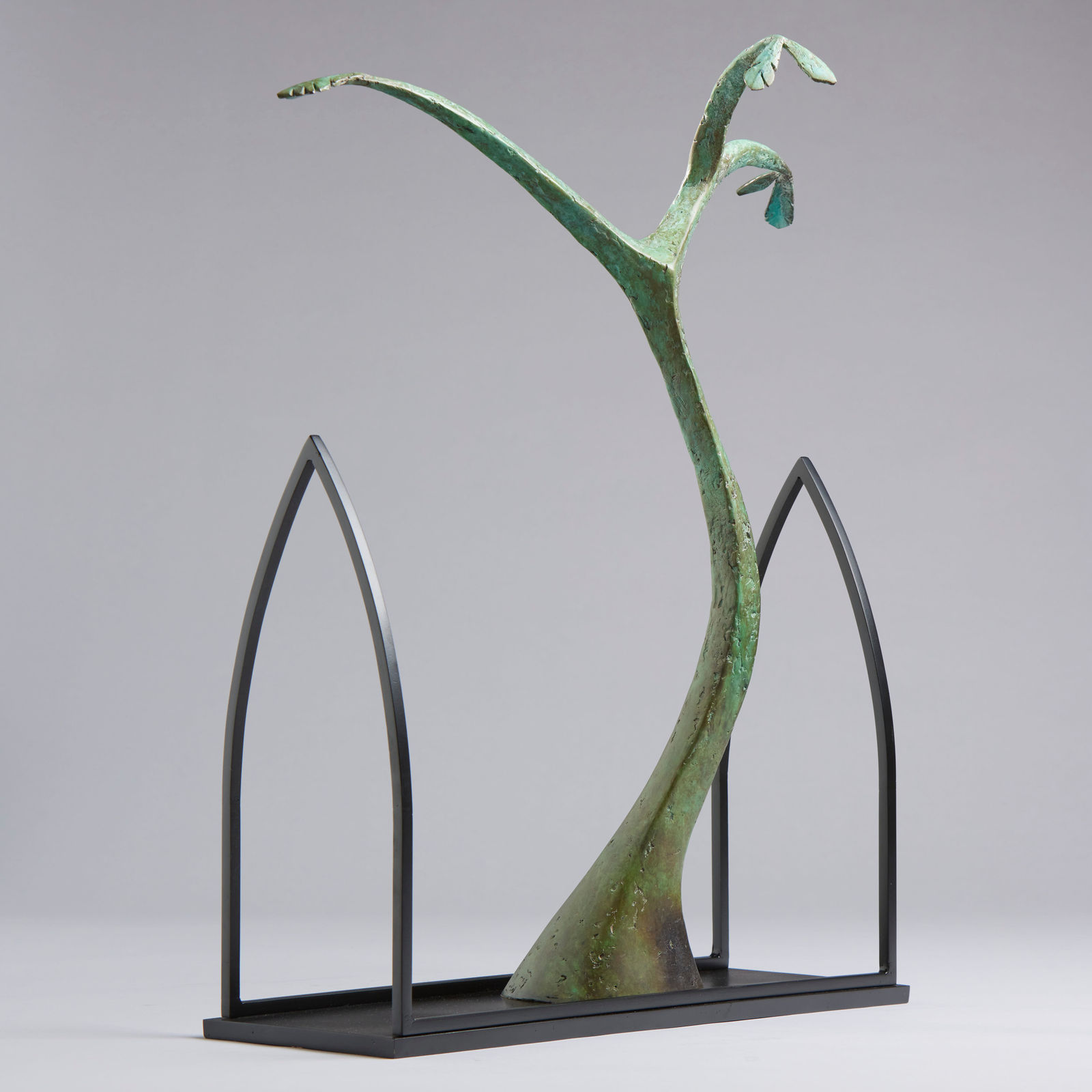 Peter Killeen, Abbey Tree