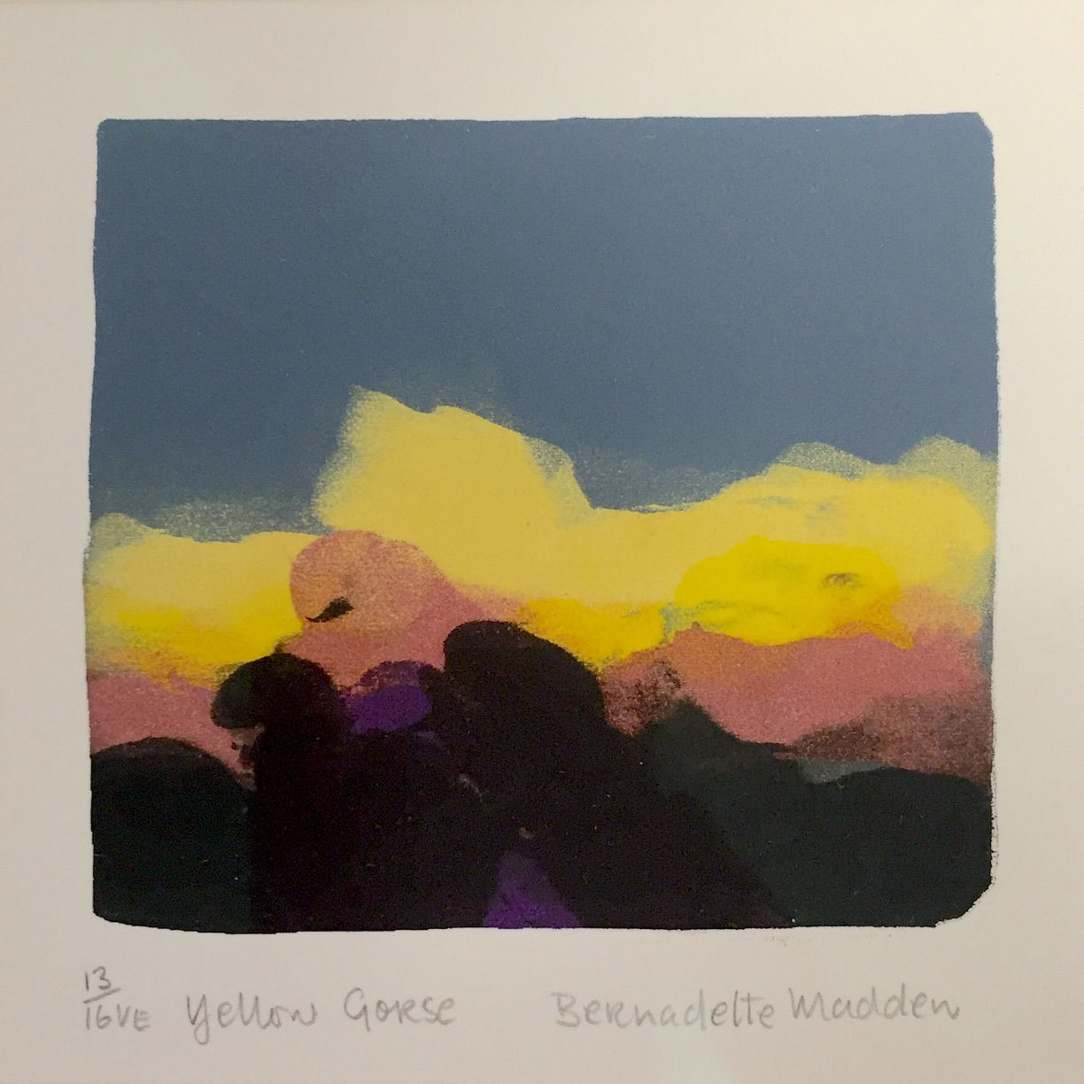 Bernadette Madden, Yellow Gorse