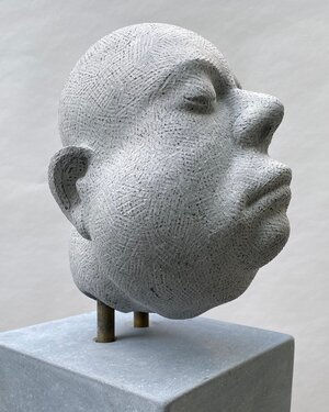 Michael Quane RHA, Phocine , 2019