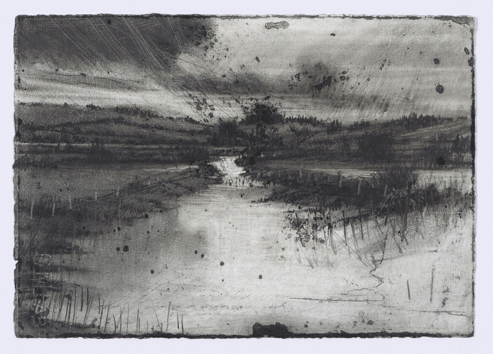 Michael Wann, Mongrel Weather, 2019