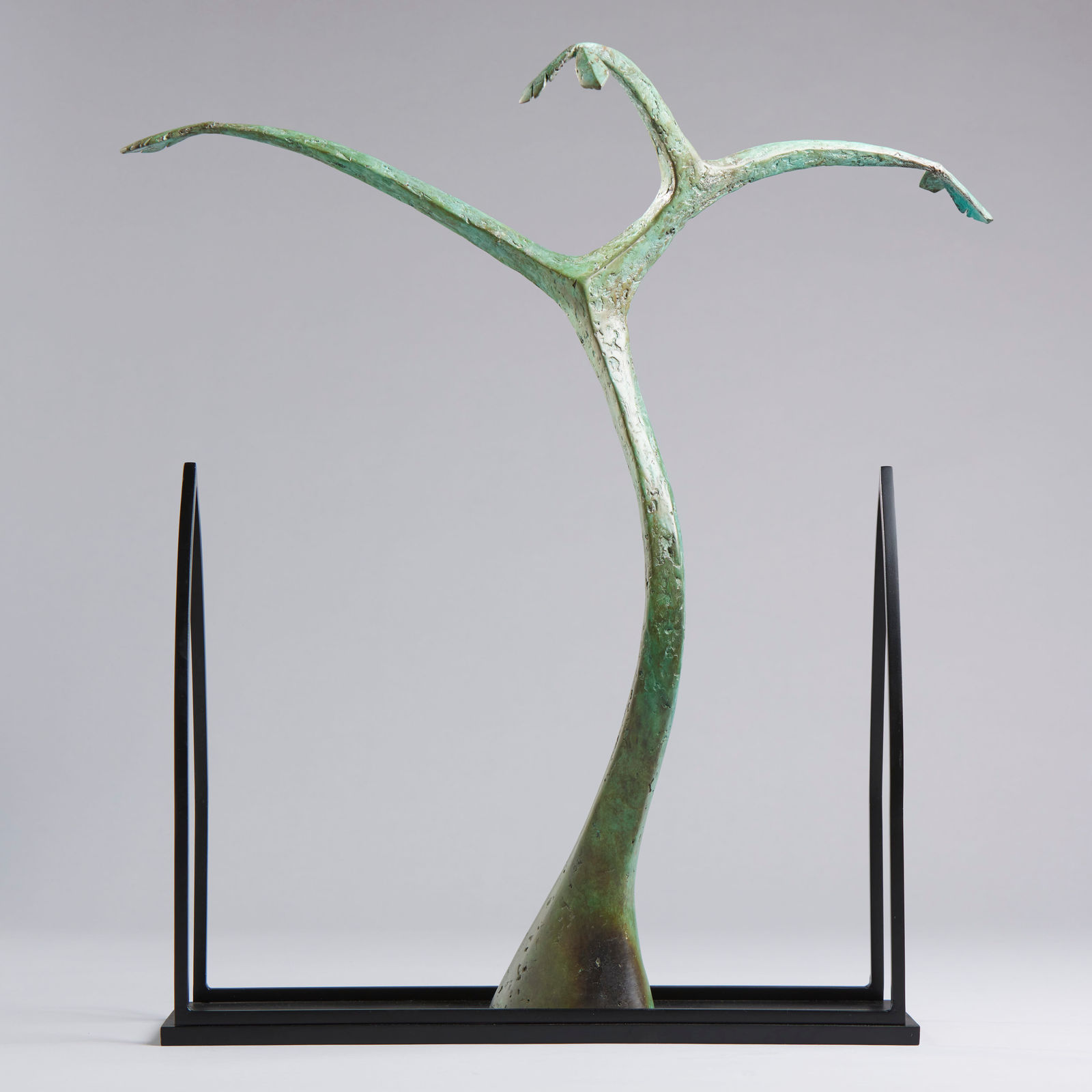 Peter Killeen, Abbey Tree