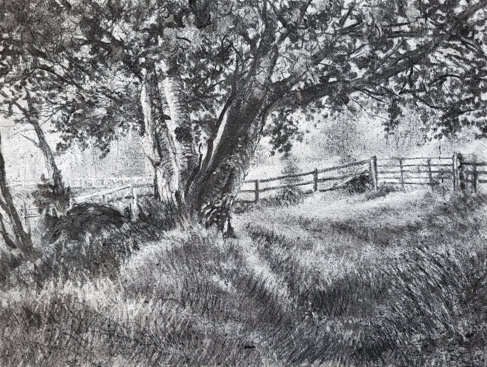 Michael Wann, Perimeter Tree 1