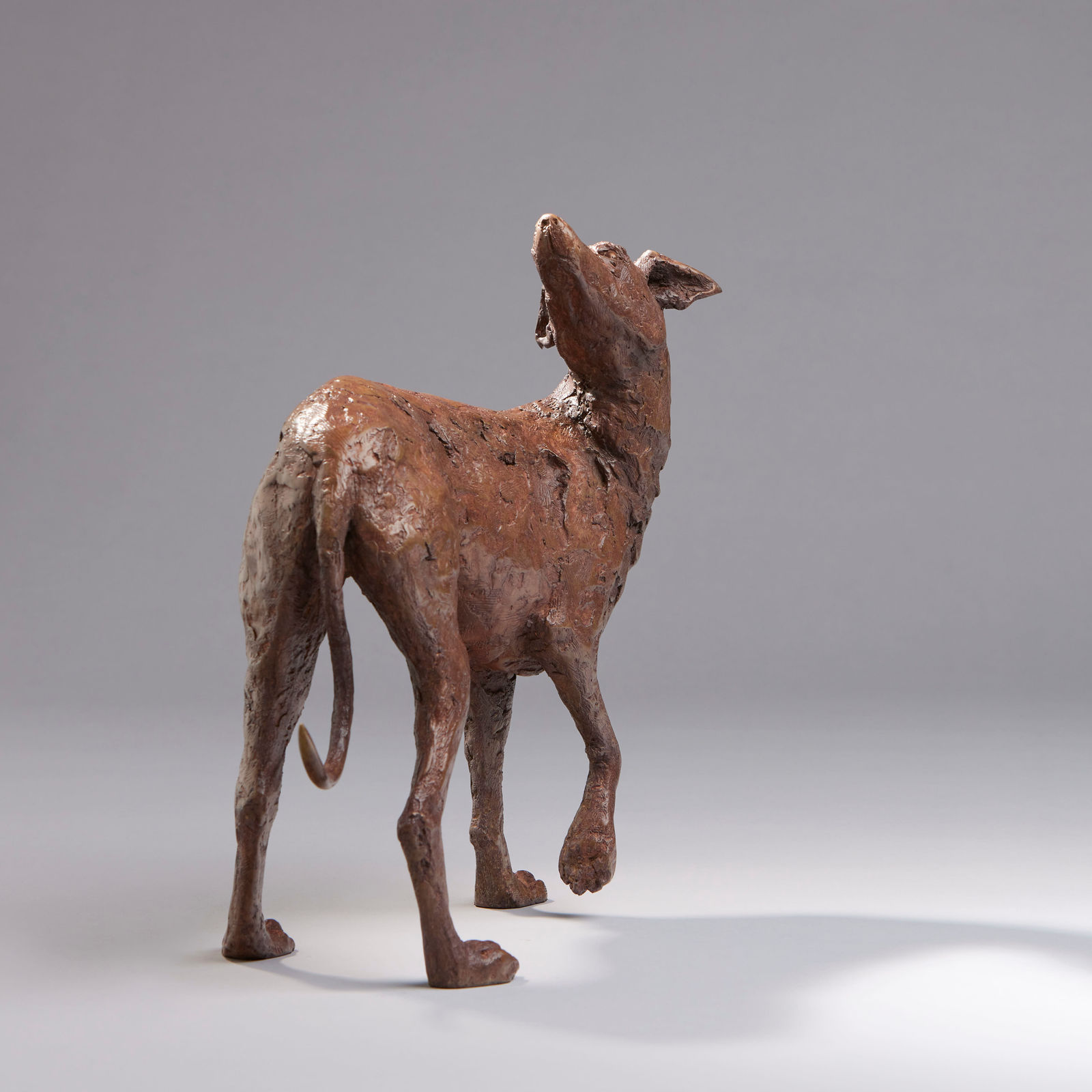 Peter Killeen, Saint Guinefort