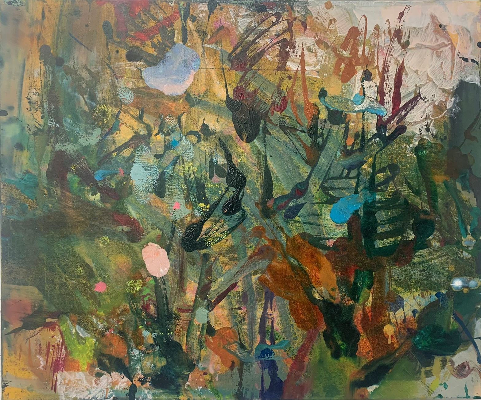 Melissa O'Donnell, New Growth