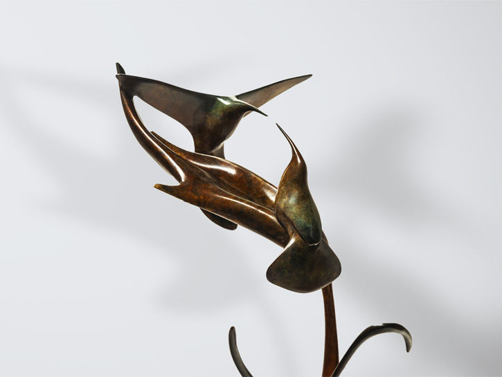 Vadim Tuzov, Hummingbirds