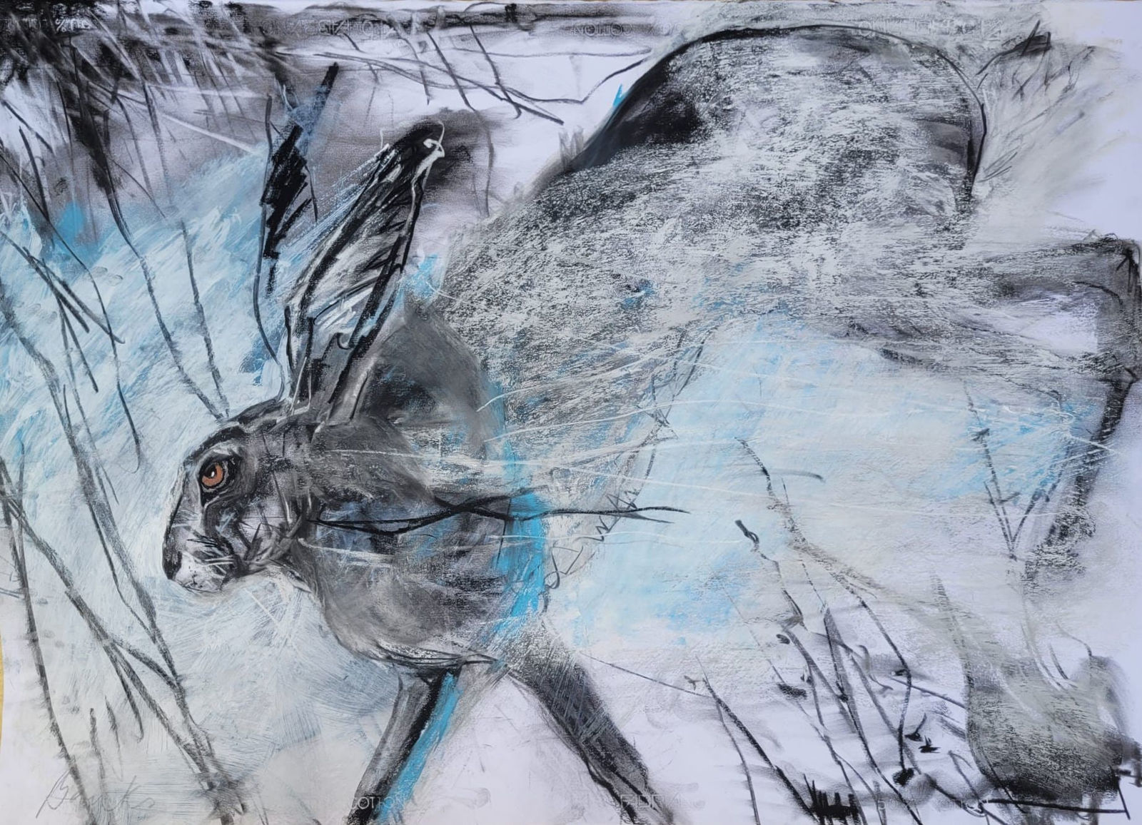 Margo Banks, Just a dream, 2024