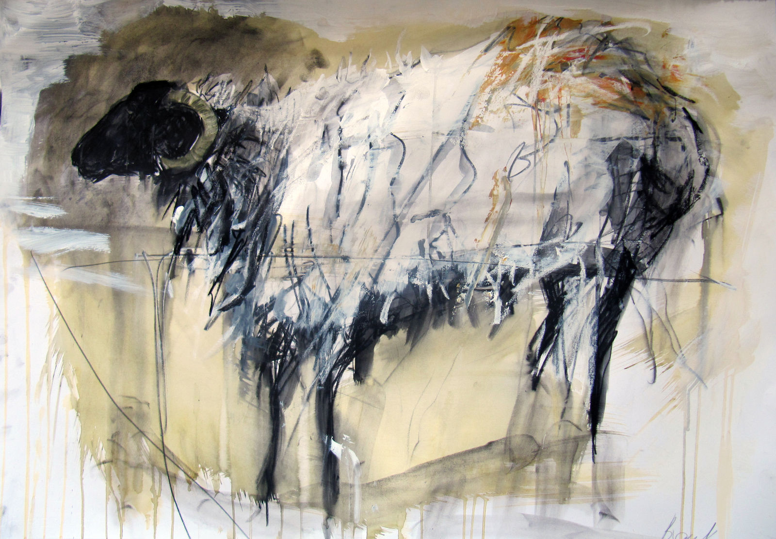 Margo Banks, Good Day in Mayo 1