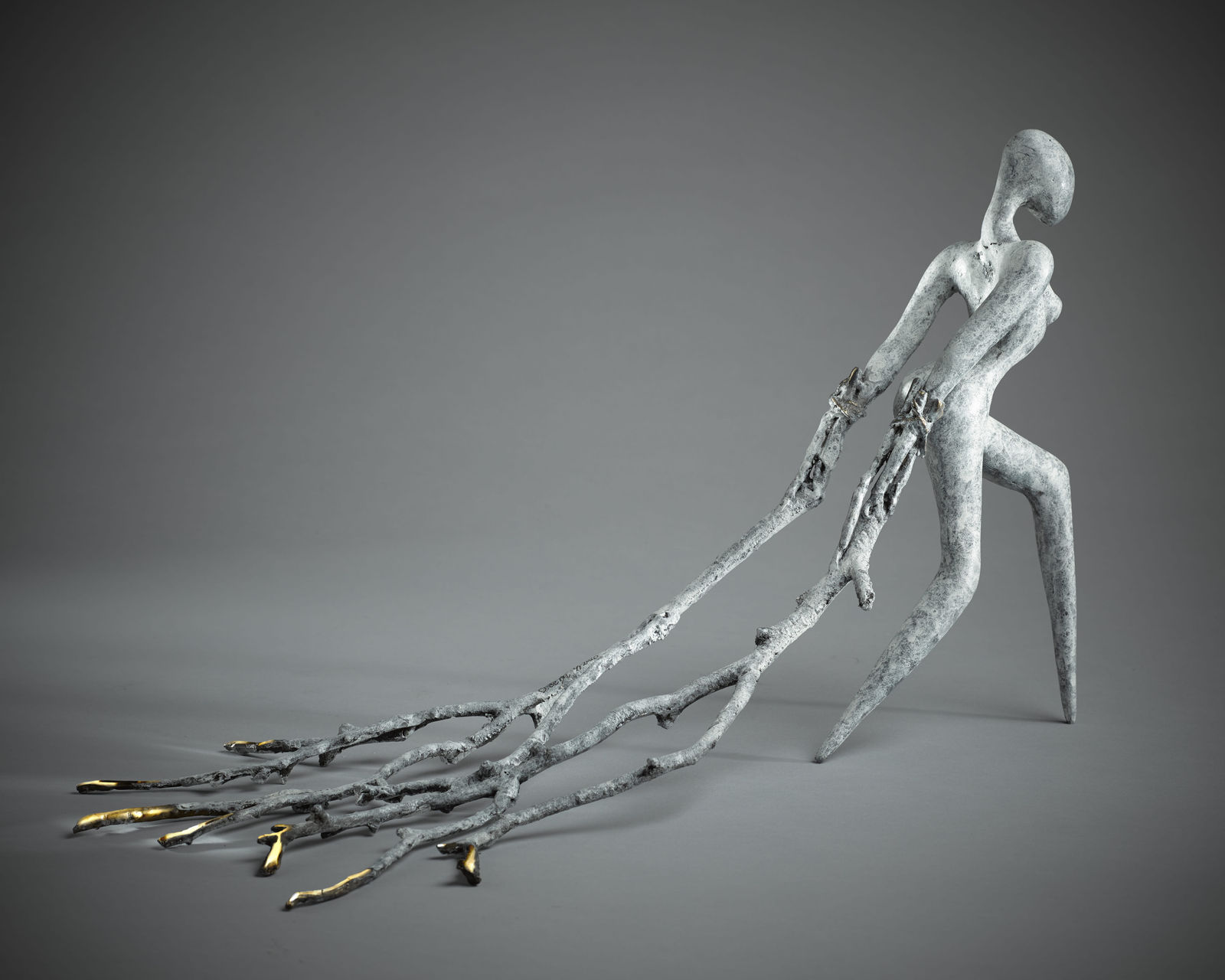 Orla de Brí, Quiet Crusader