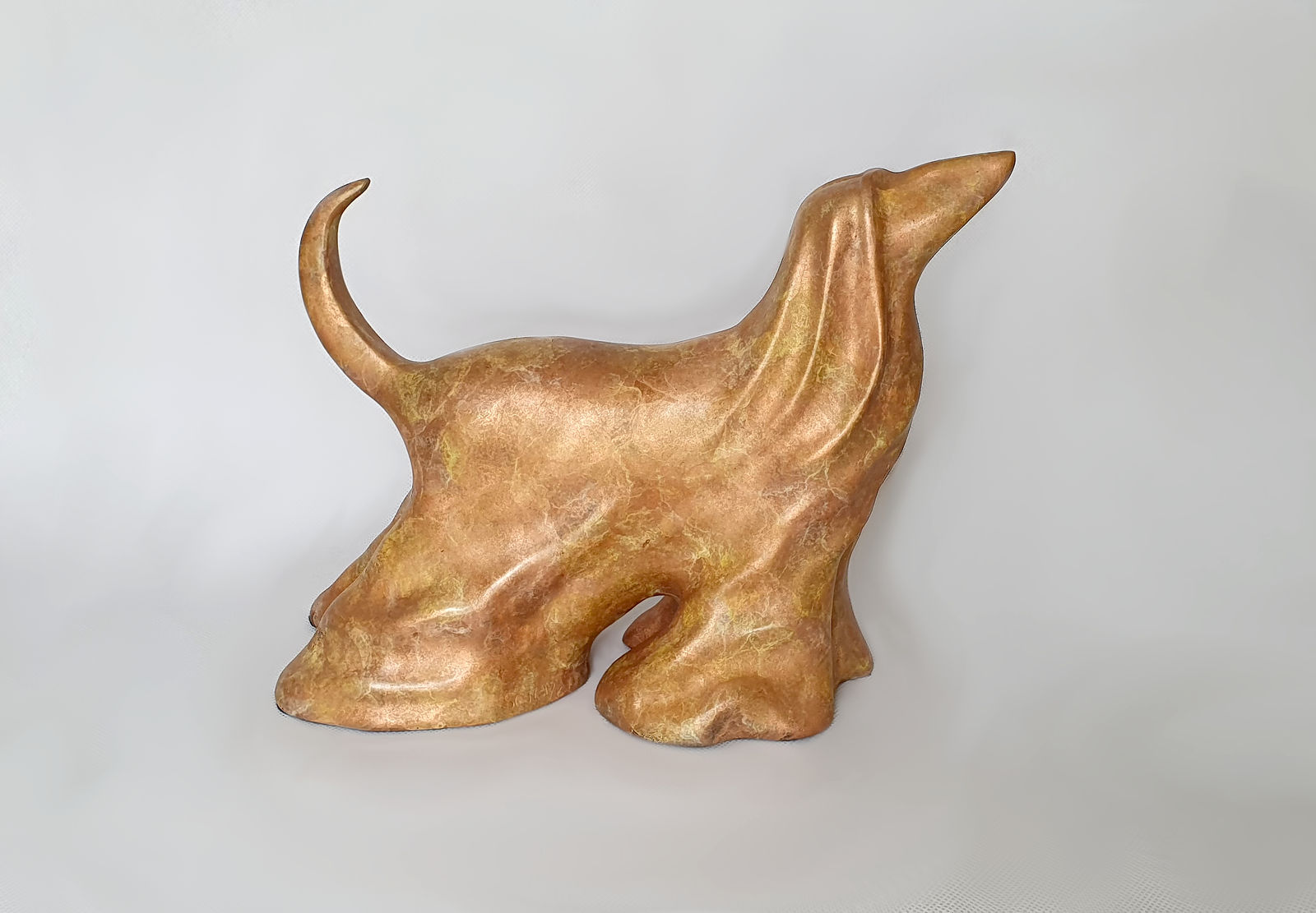 Stephanie Hess, Best in Show