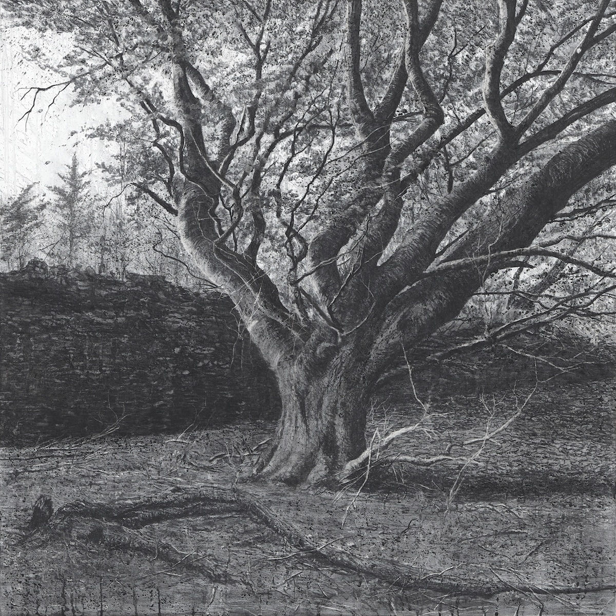 Michael Wann, Shadow Confines, 2022