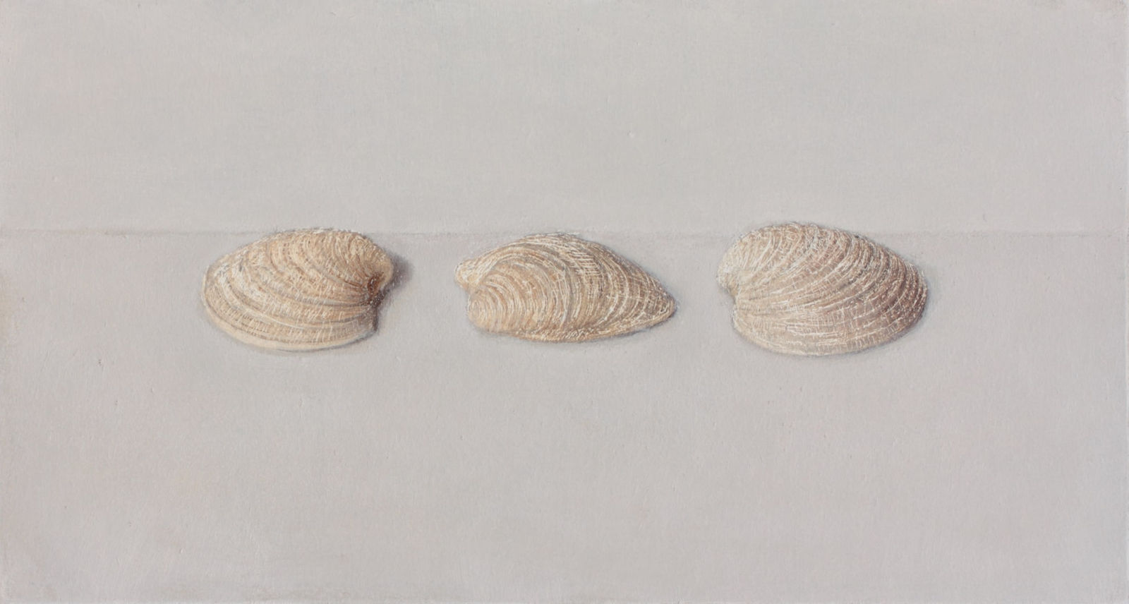 Comhghall Casey, Three Shells (Portmarnock), 2022