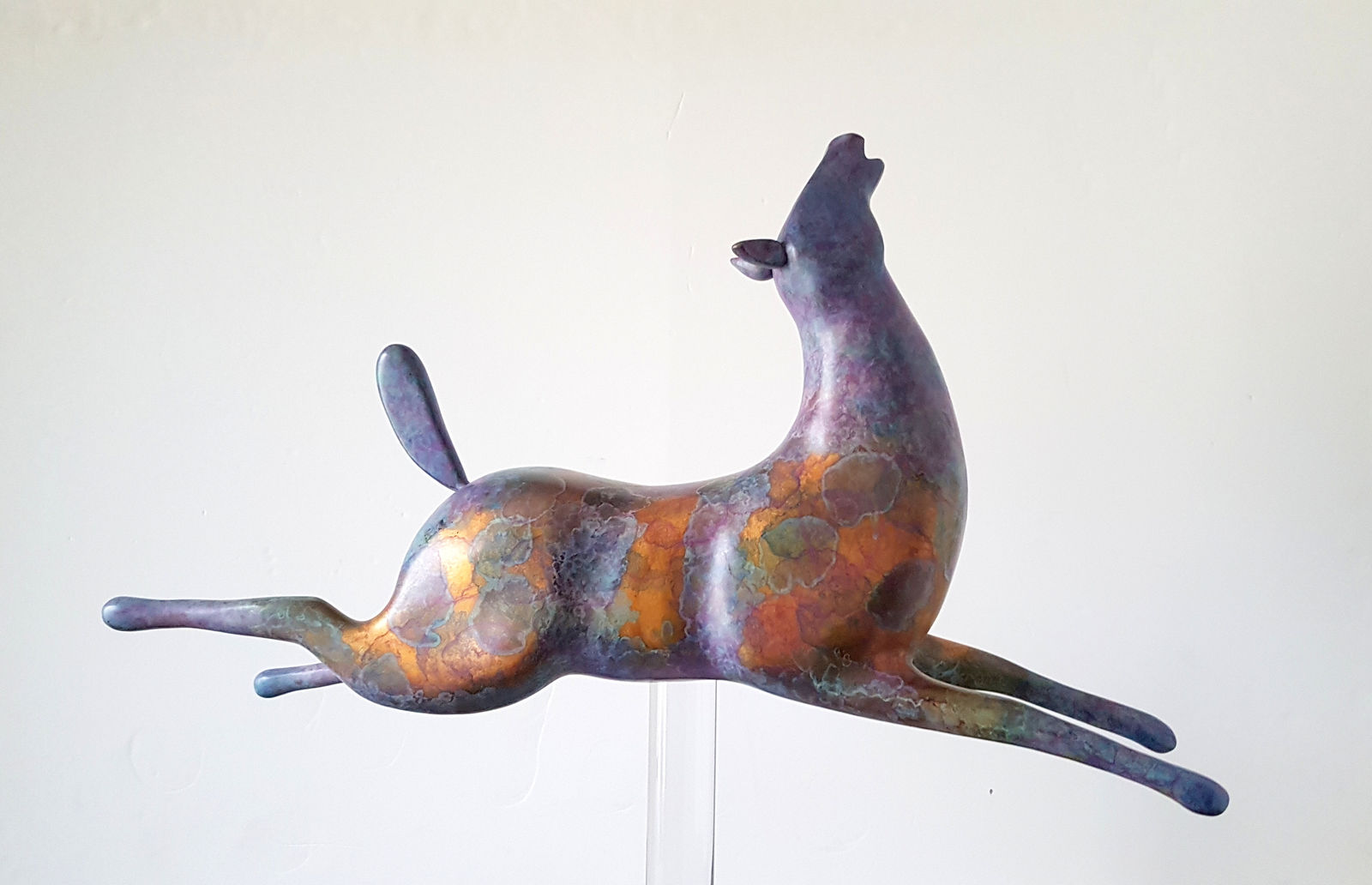 Stephanie Hess, Unbridled Joy