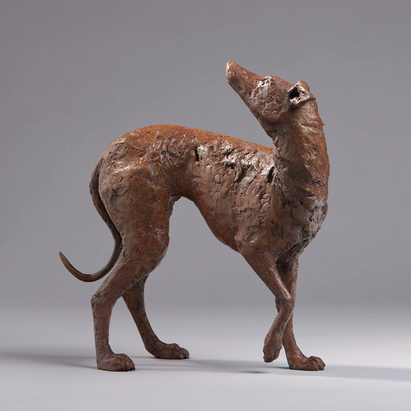 Peter Killeen, Saint Guinefort