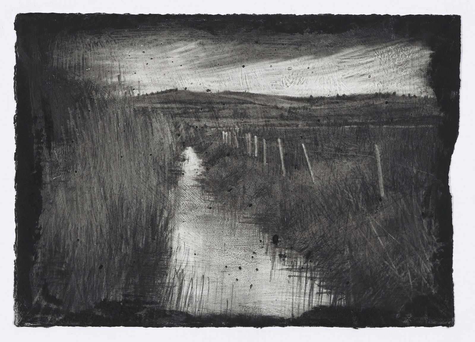 Michael Wann, The Reed Bed (after Dermot Healy), 2021
