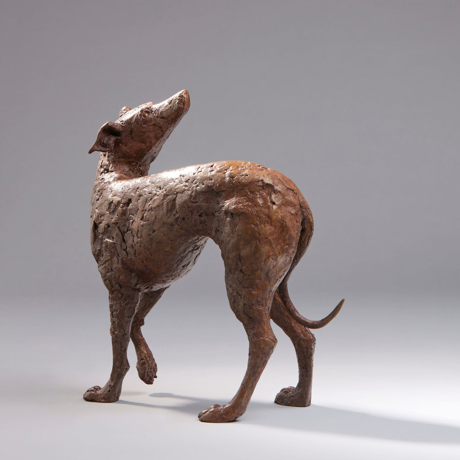 Peter Killeen, Saint Guinefort