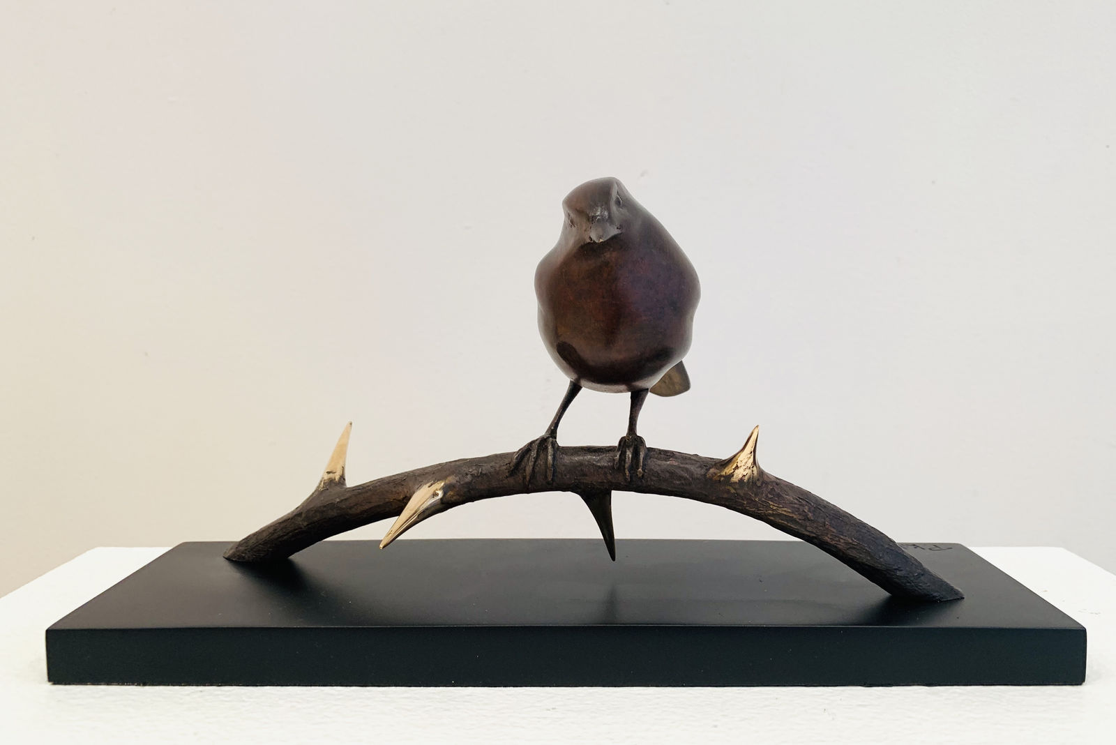 Peter Killeen, Calvary Tourist