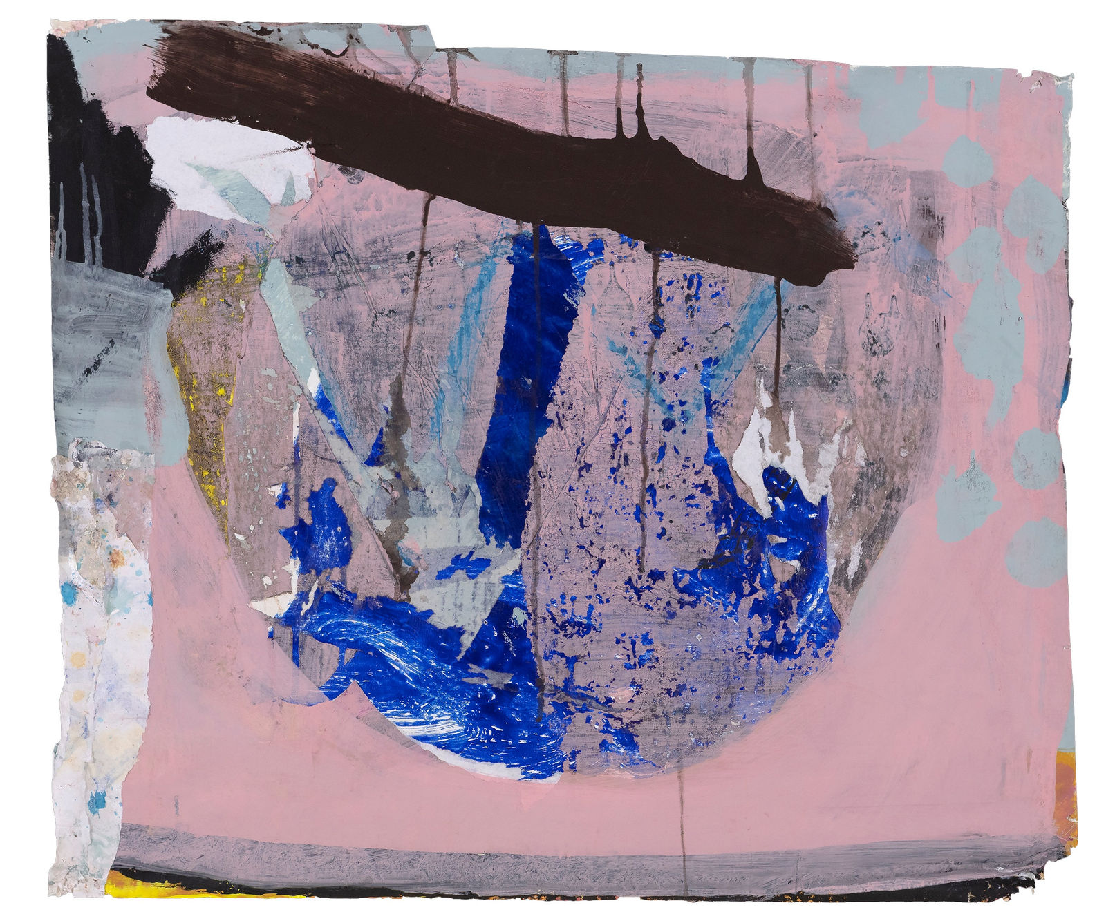 Eamon Colman, The Honey Dew of the Rosehip Aphid, 2019-2023