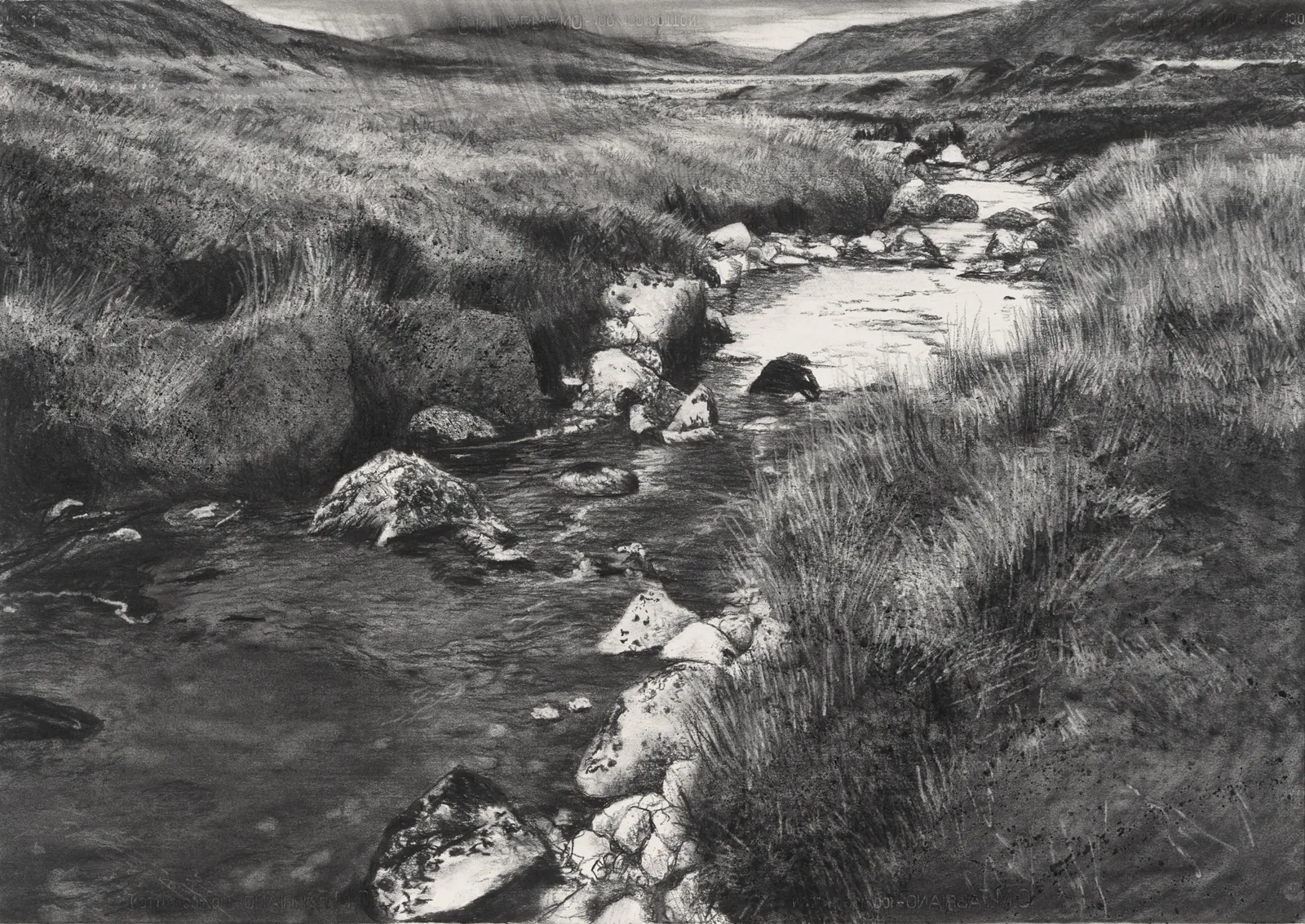 Michael Wann, Bog Rain, 2023