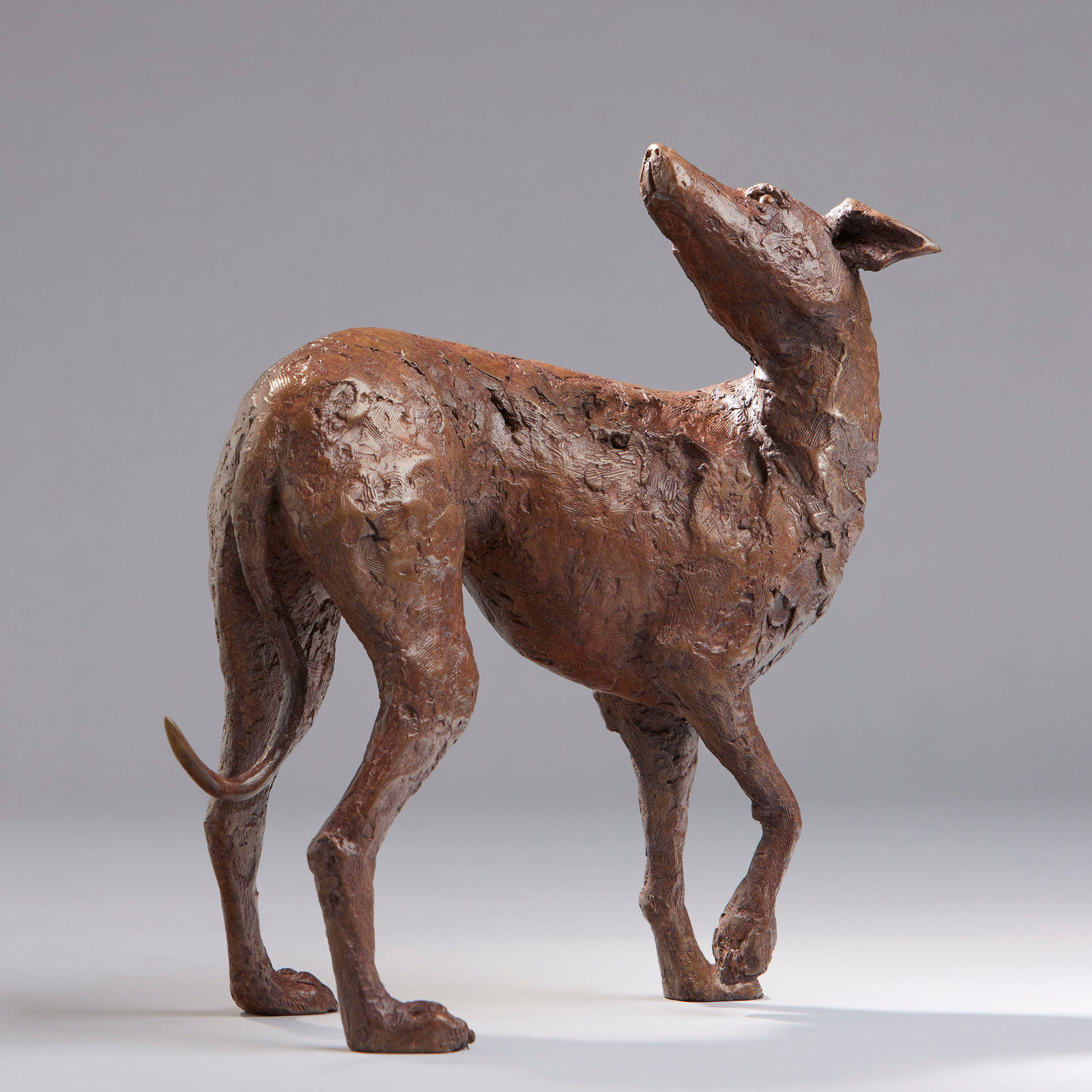 Peter Killeen, Saint Guinefort