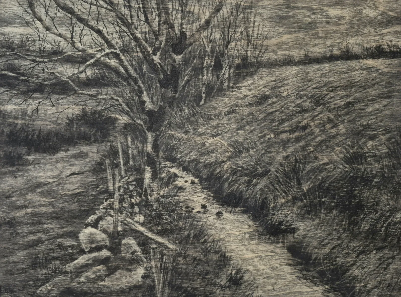 Michael Wann, Follow the River 2, 2026